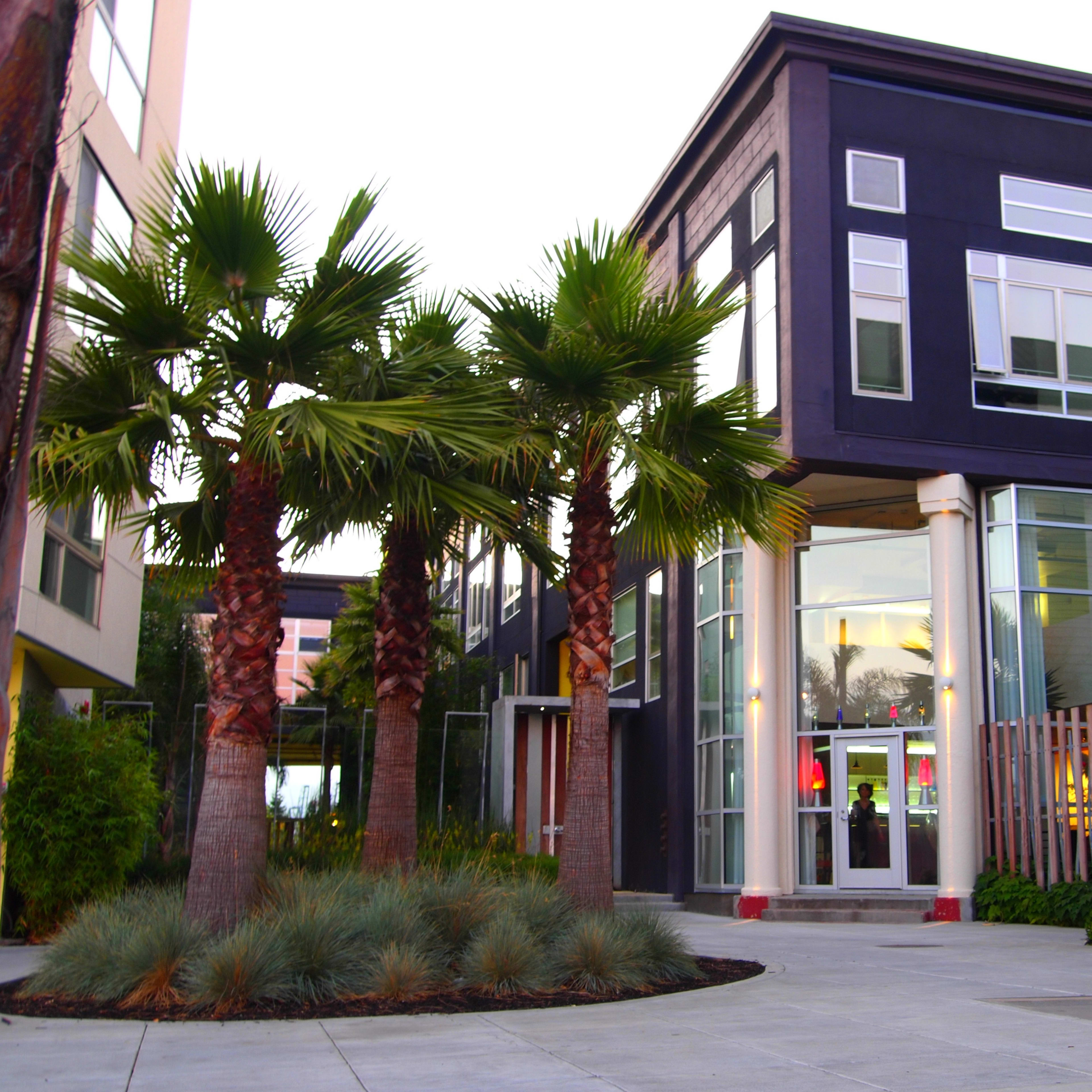 A modern building with large windows and palm trees is situated in a landscaped area.