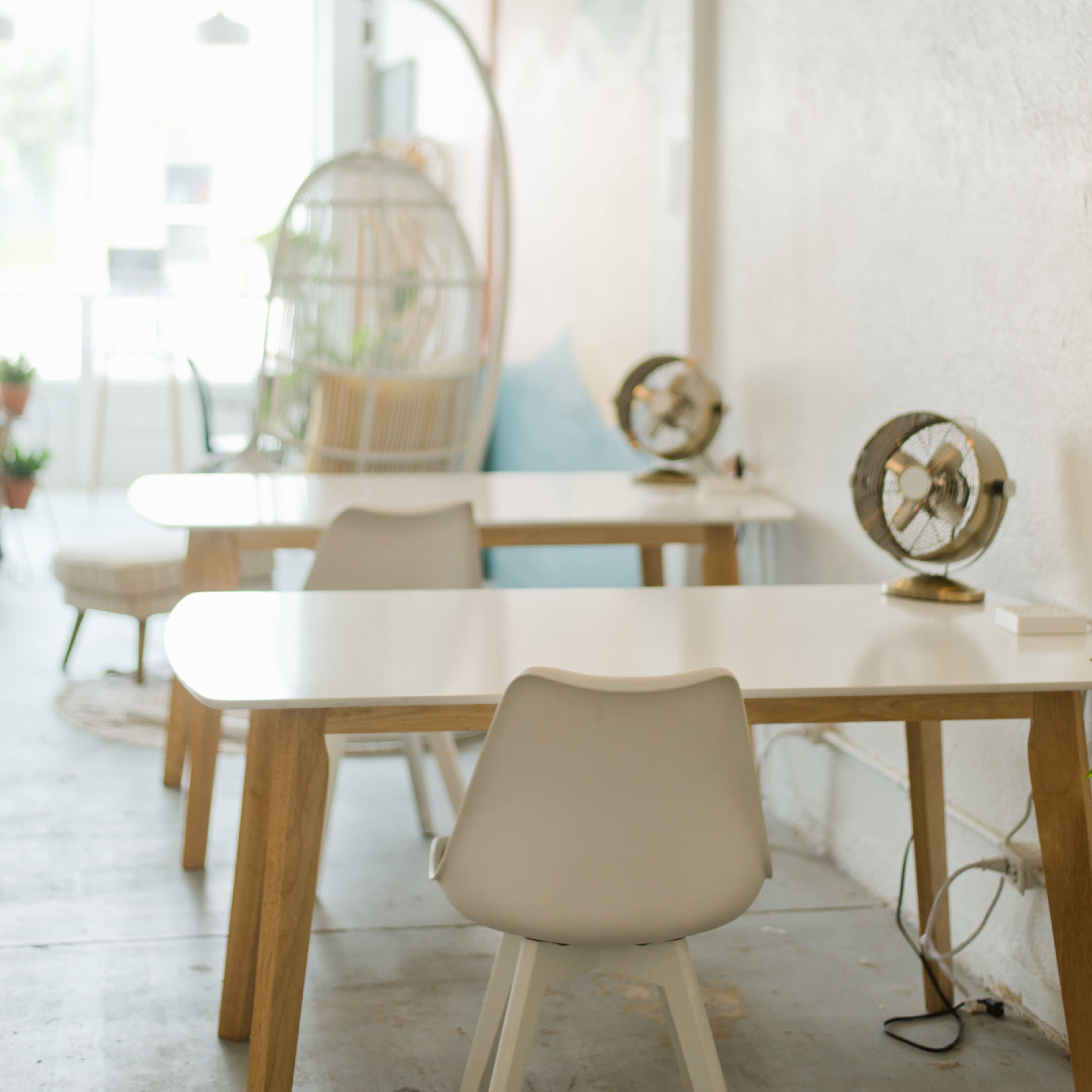 A bright, minimalist café interior with white walls, wooden tables, and decorative fans on the tables.