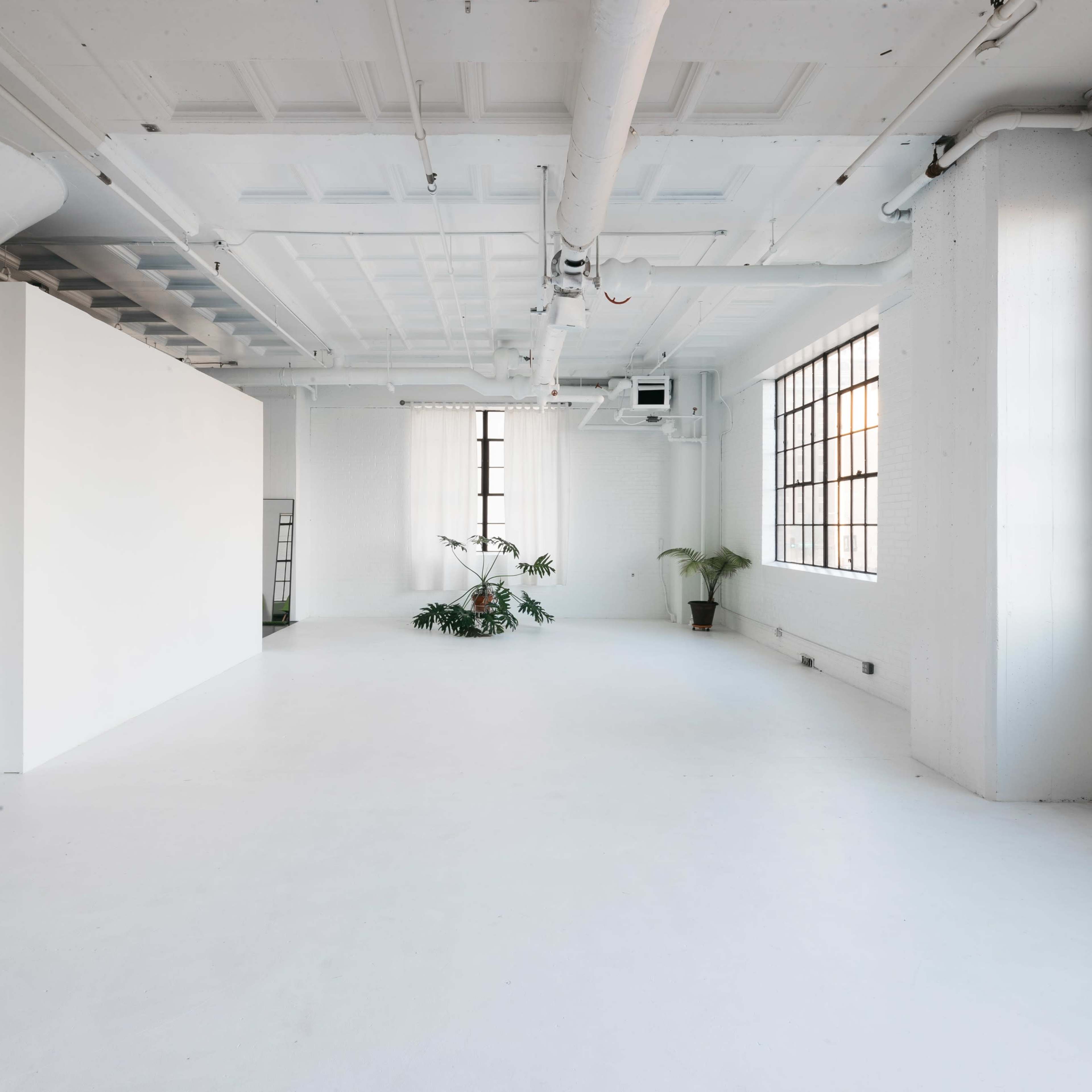 A spacious, minimalist interior with white walls and large windows, featuring a few plants in the center.