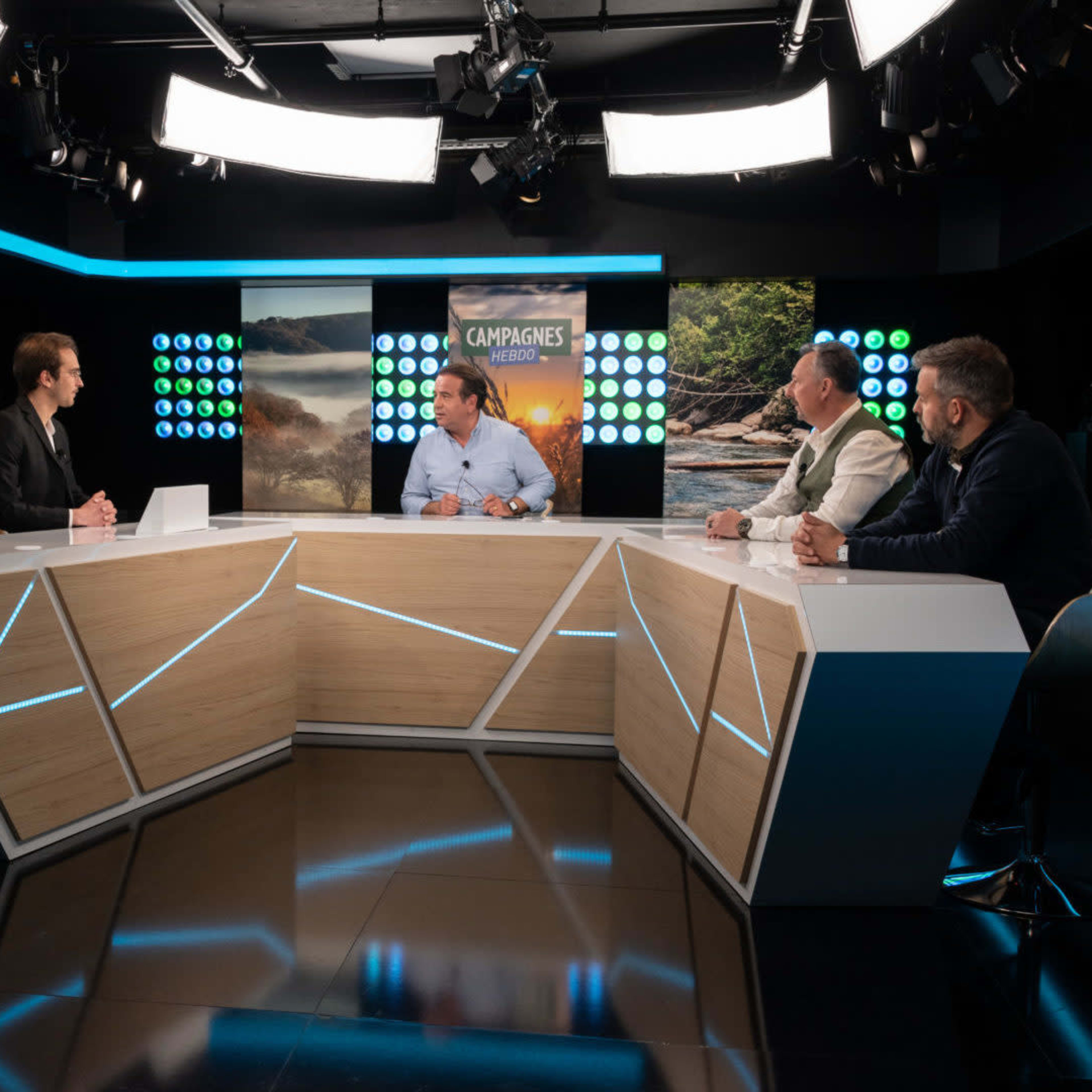 A television studio set with four people seated at a modern table, discussing topics related to a nature-themed broadcast.