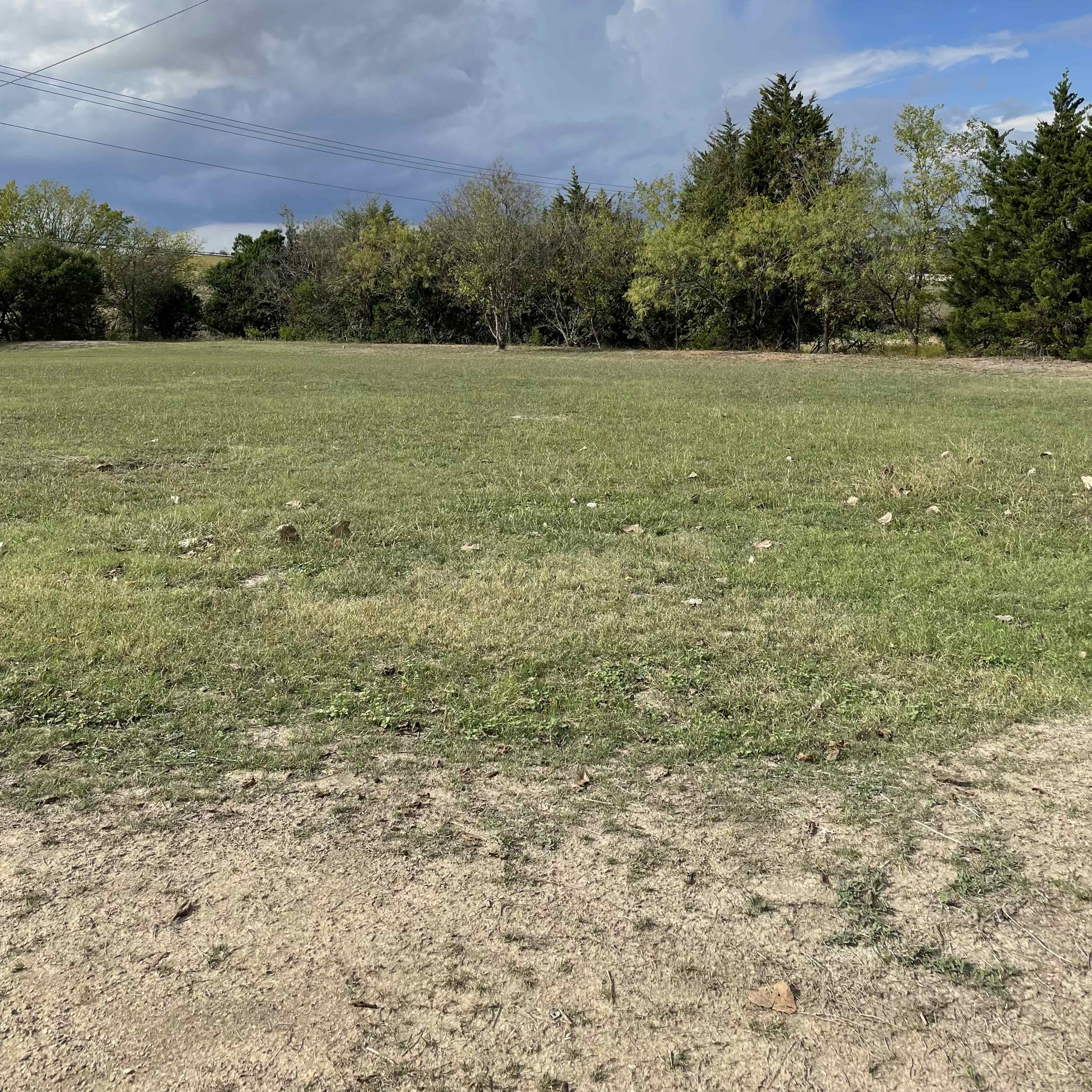 A grassy field under a partly cloudy sky with a line of trees in the background.
