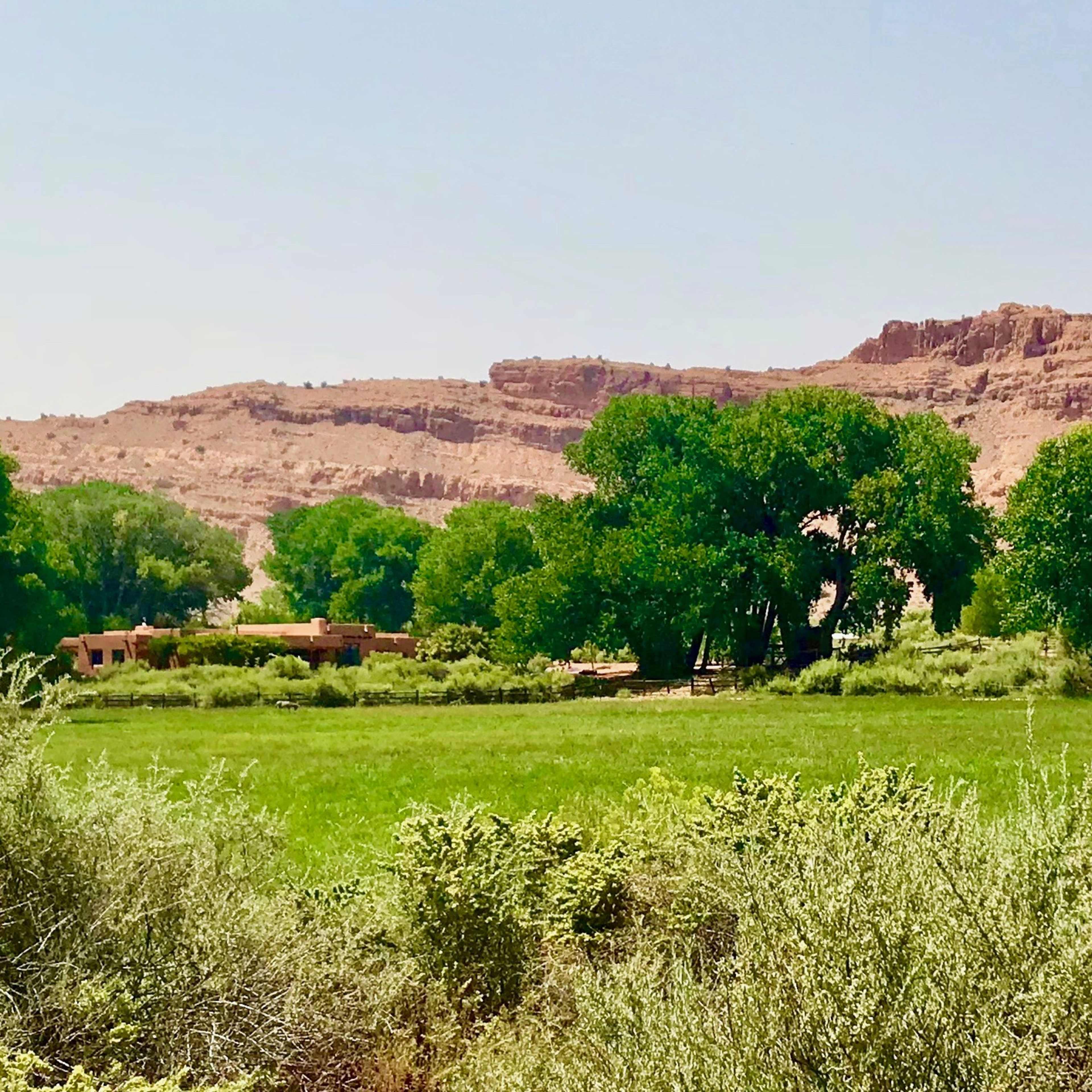 A green meadow bordered by large trees and shrubs sits at the foot of a rocky hillside under a clear sky.