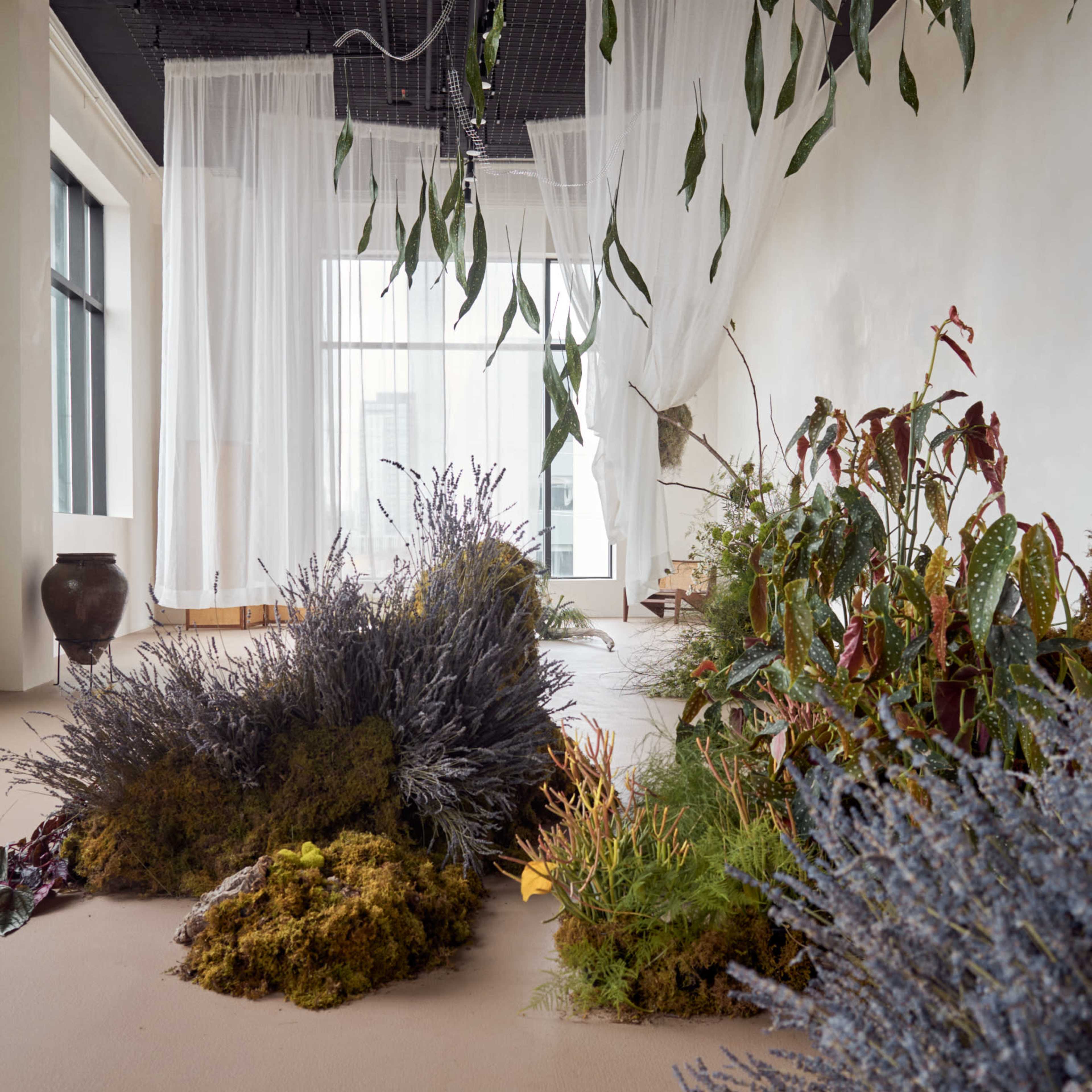 Bright and Spacious Open Concept Studio Image in Islington - City Centre West, Toronto, ON