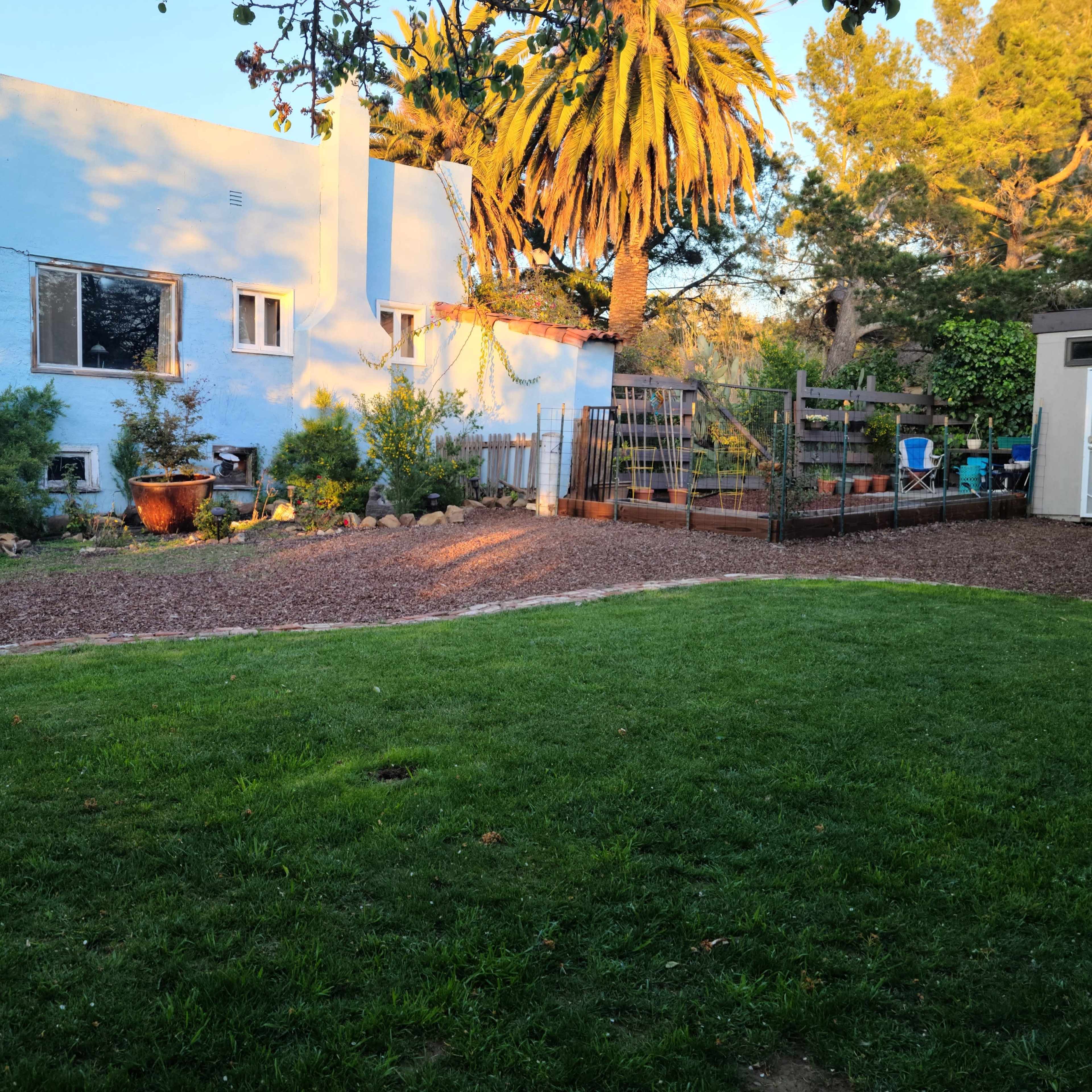 A light blue house with several windows is set against a backdrop of palm trees and a garden featuring a gravel path and various plants.