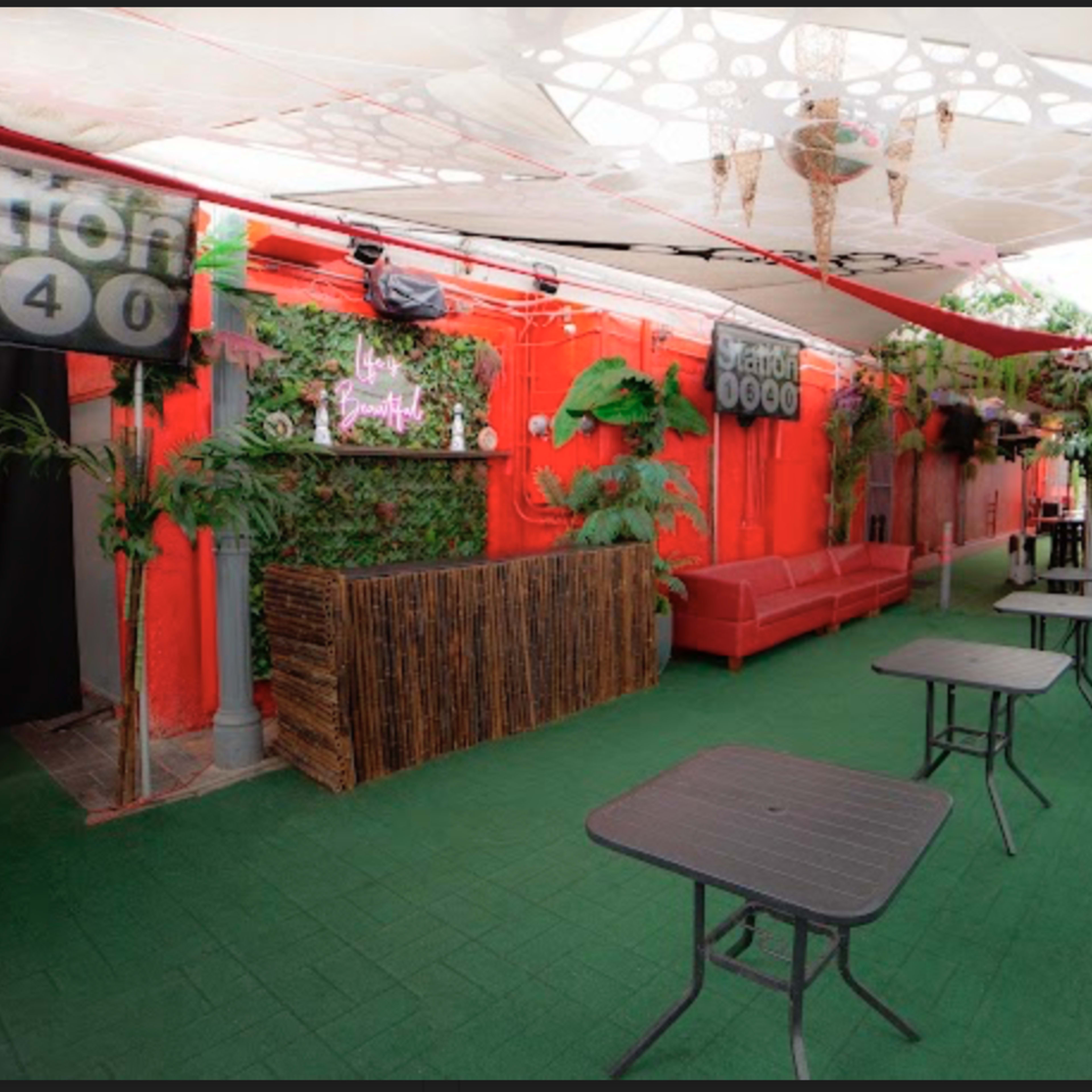 Jungle Hollywood Restaurant and Bar Image in Hollywood, Los Angeles, CA