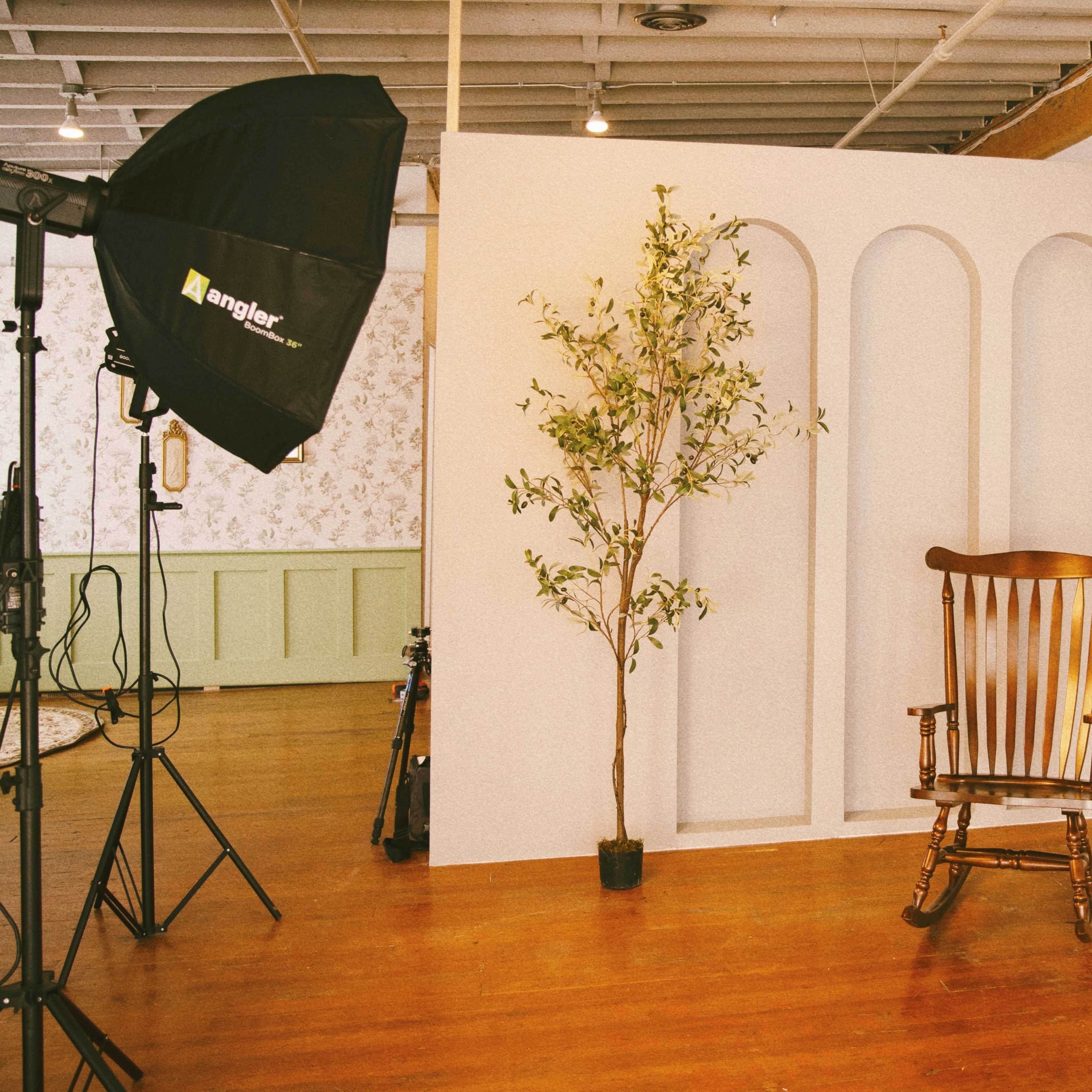 A well-lit photography studio with a wooden rocking chair, a potted plant, and an arched backdrop against a wooden floor.