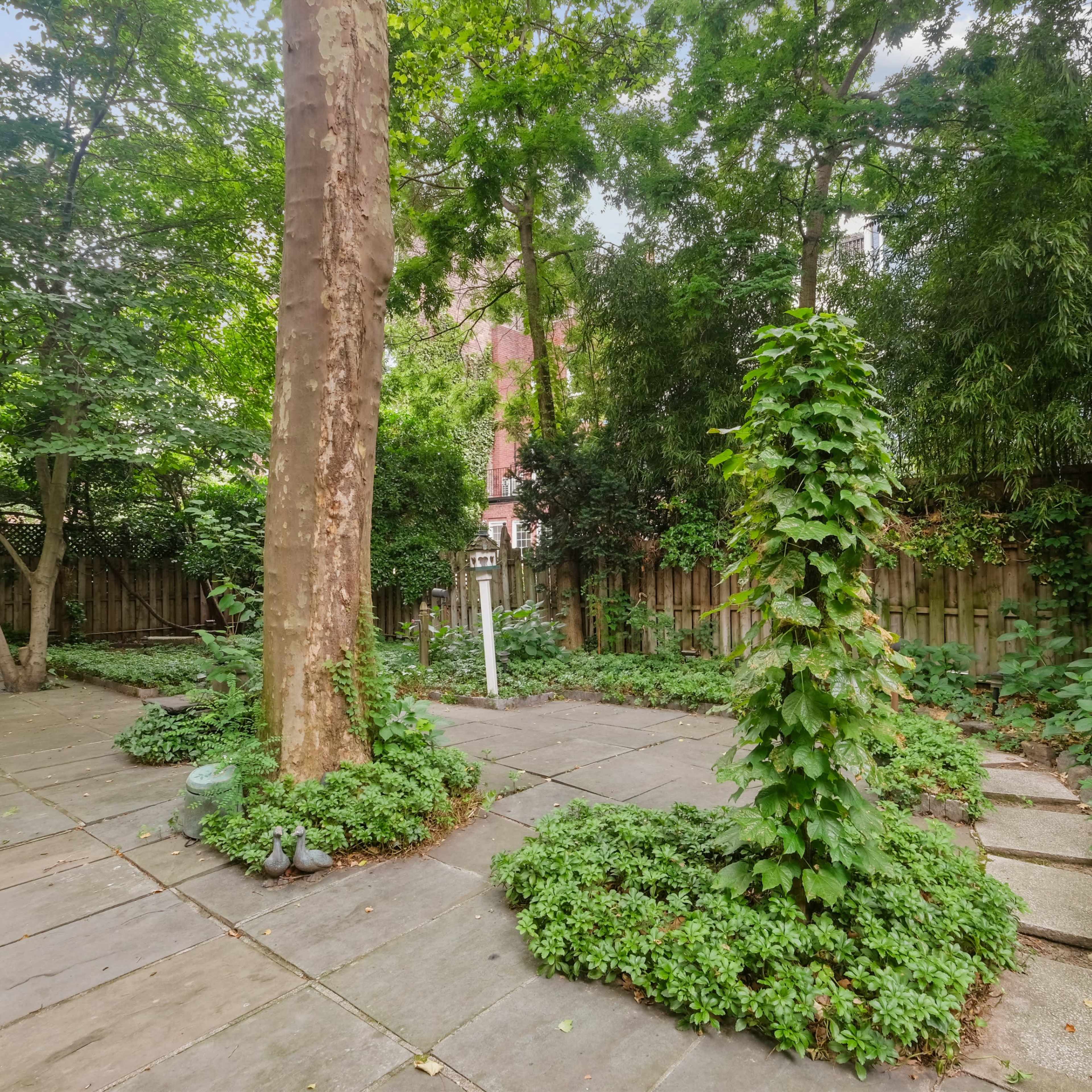 A garden features several stone pathways surrounded by lush green plants and a large tree at its center.