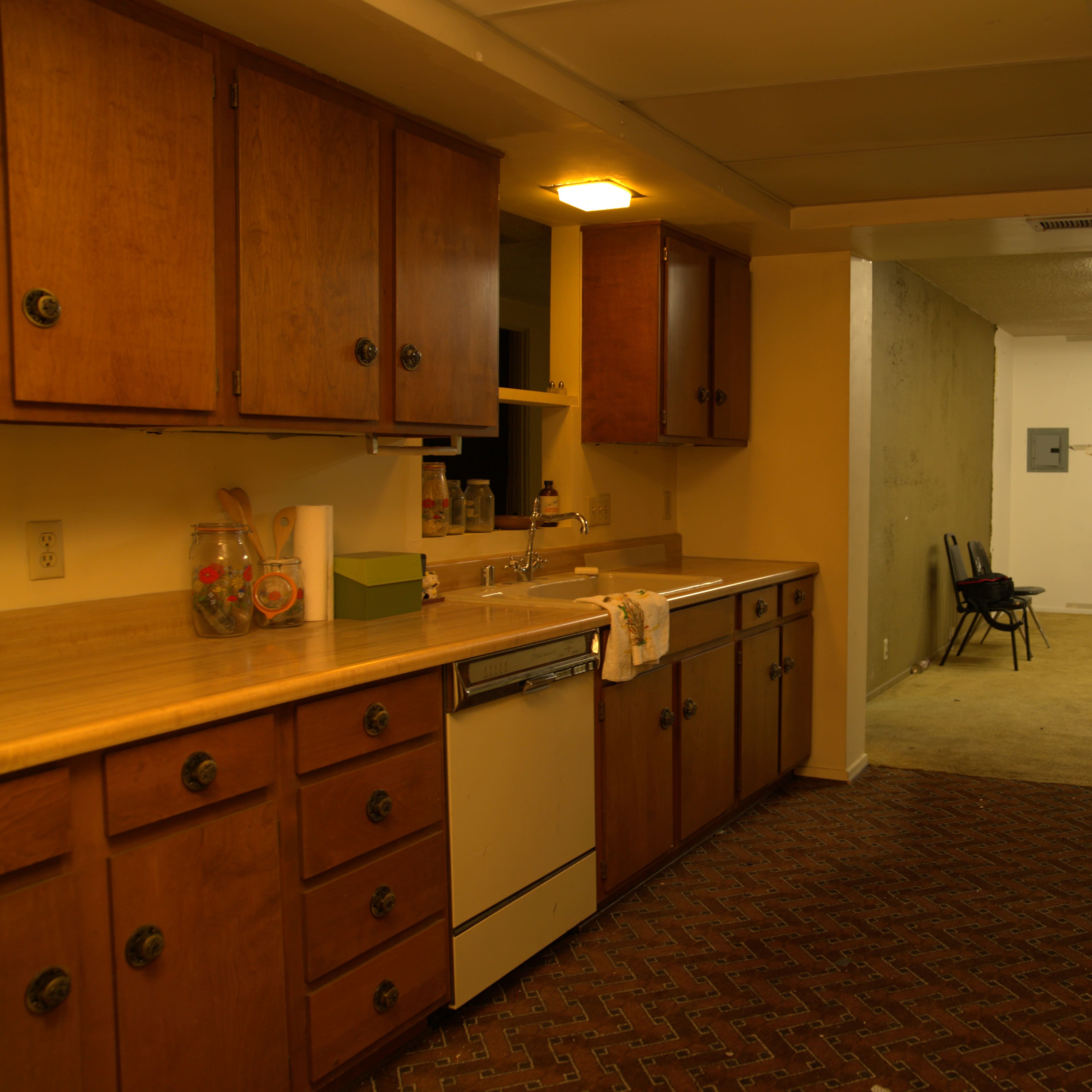 A kitchen with wooden cabinets and a counter leads into a room with beige carpeting and a patterned wall at the far end.