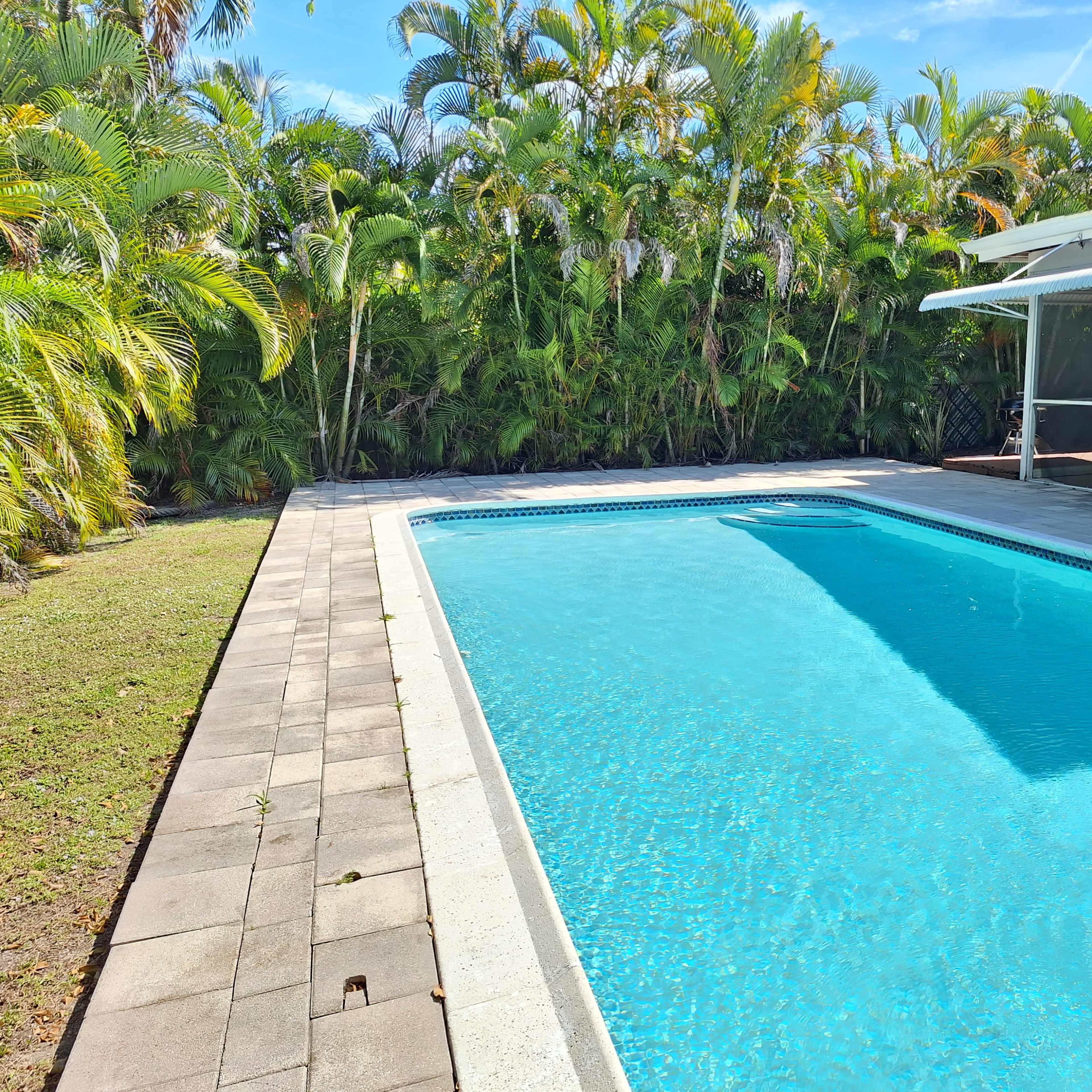 A clear swimming pool surrounded by a paved area and lush greenery.