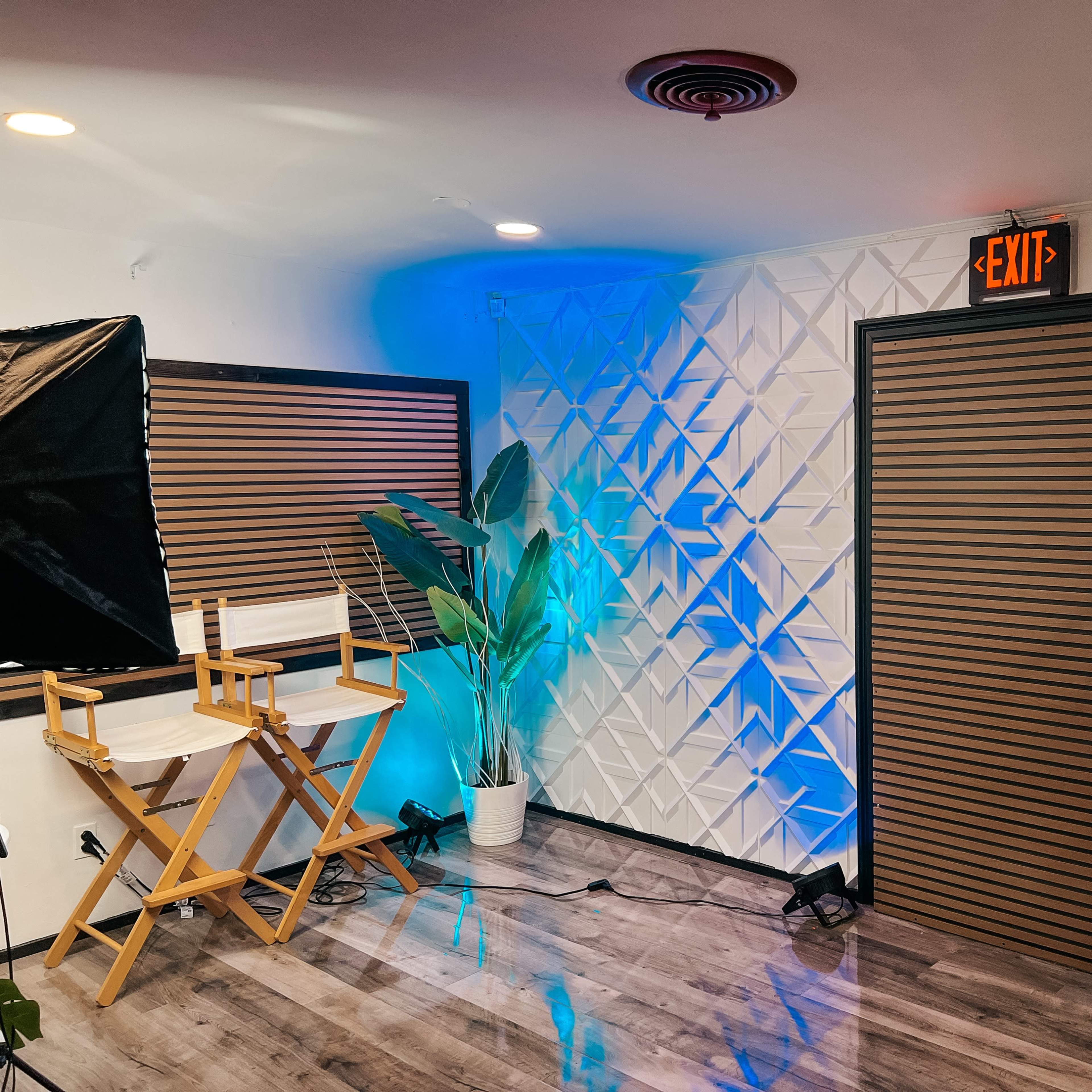 A modern room setup featuring two director chairs, a potted plant, a decorative wall with textured panels, and a shelving unit with plants and sunflowers.