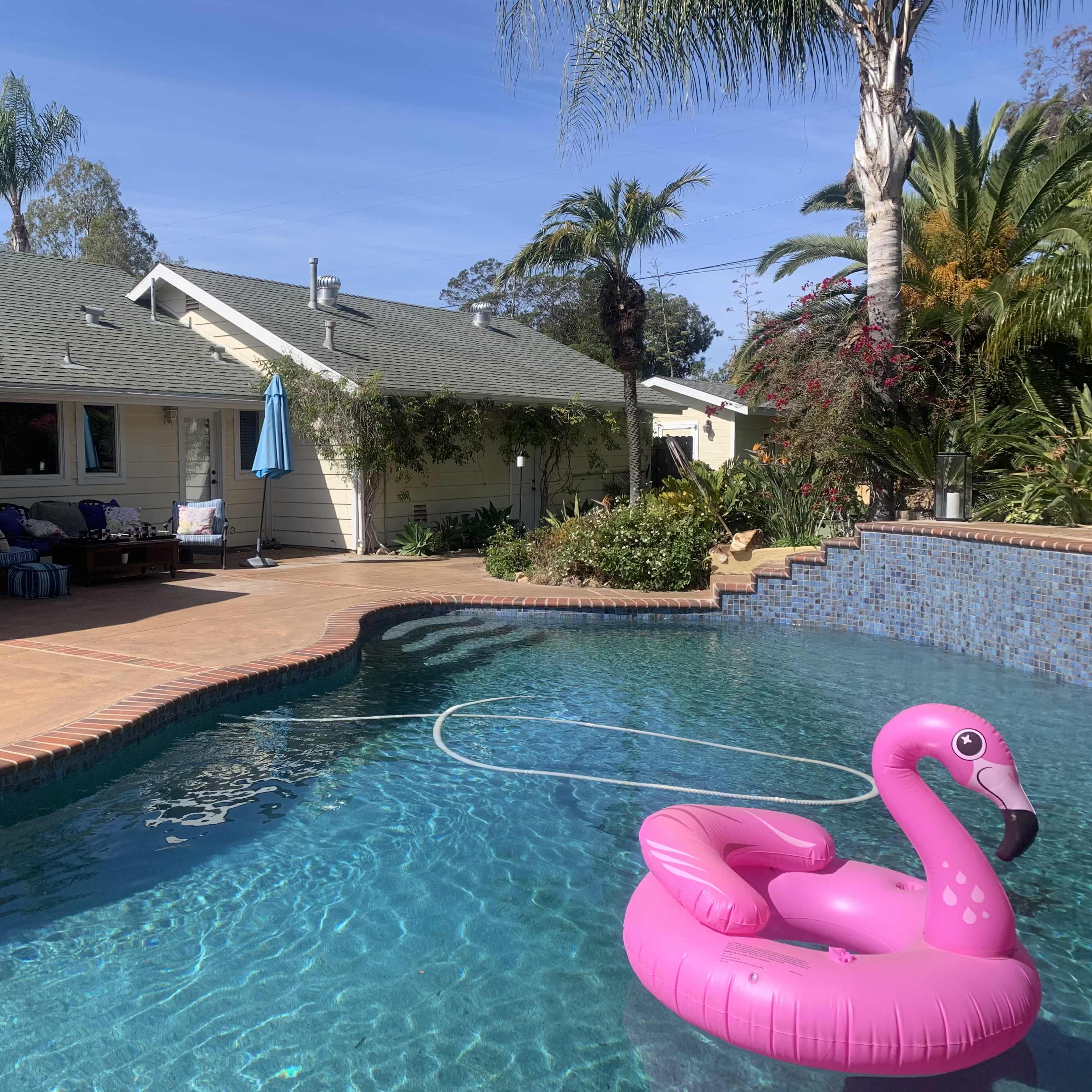 A pink flamingo float sits in a swimming pool surrounded by a residential backyard with palm trees and a patio area.