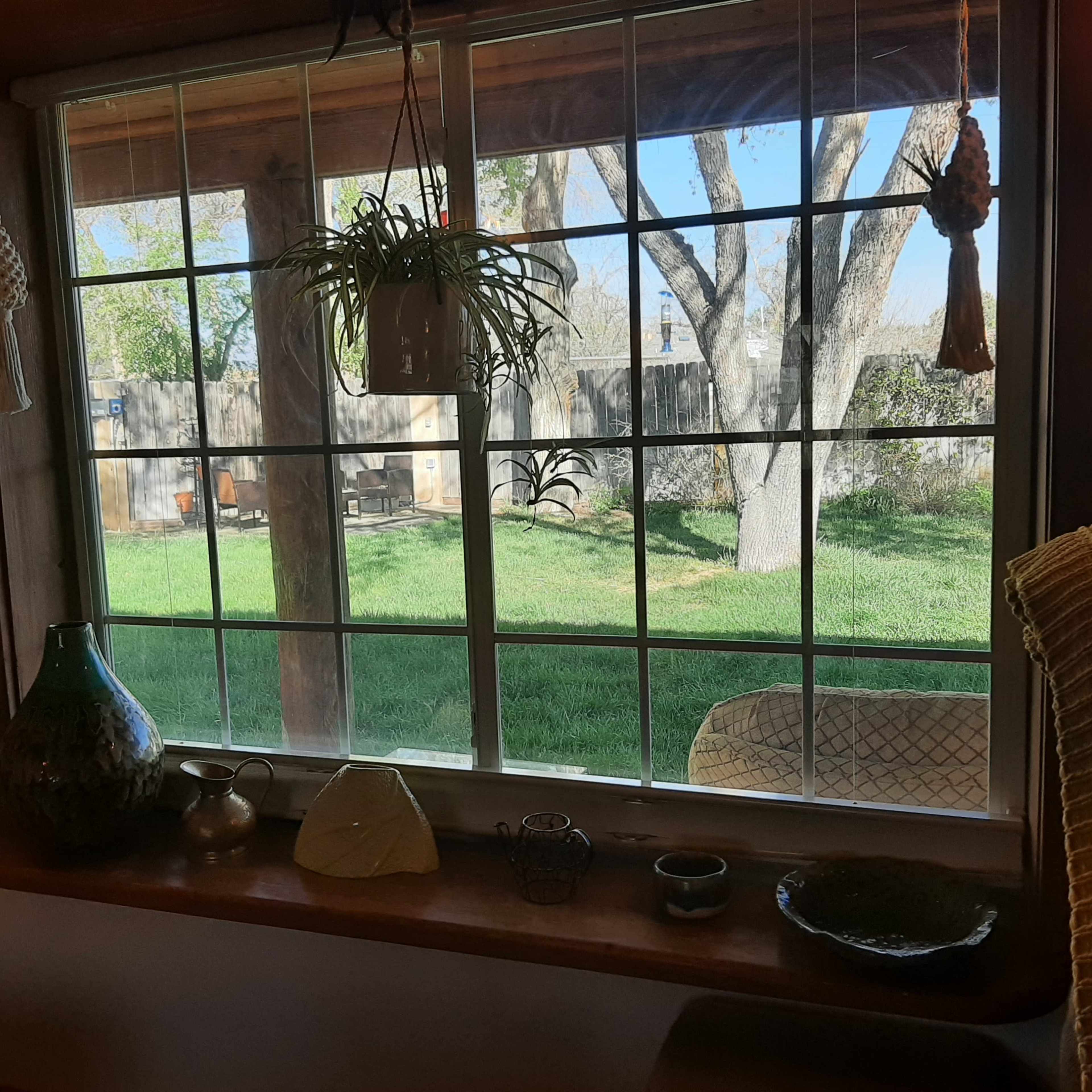 A window with a view of a green yard and trees, featuring various indoor plants and decorative items on the windowsill.