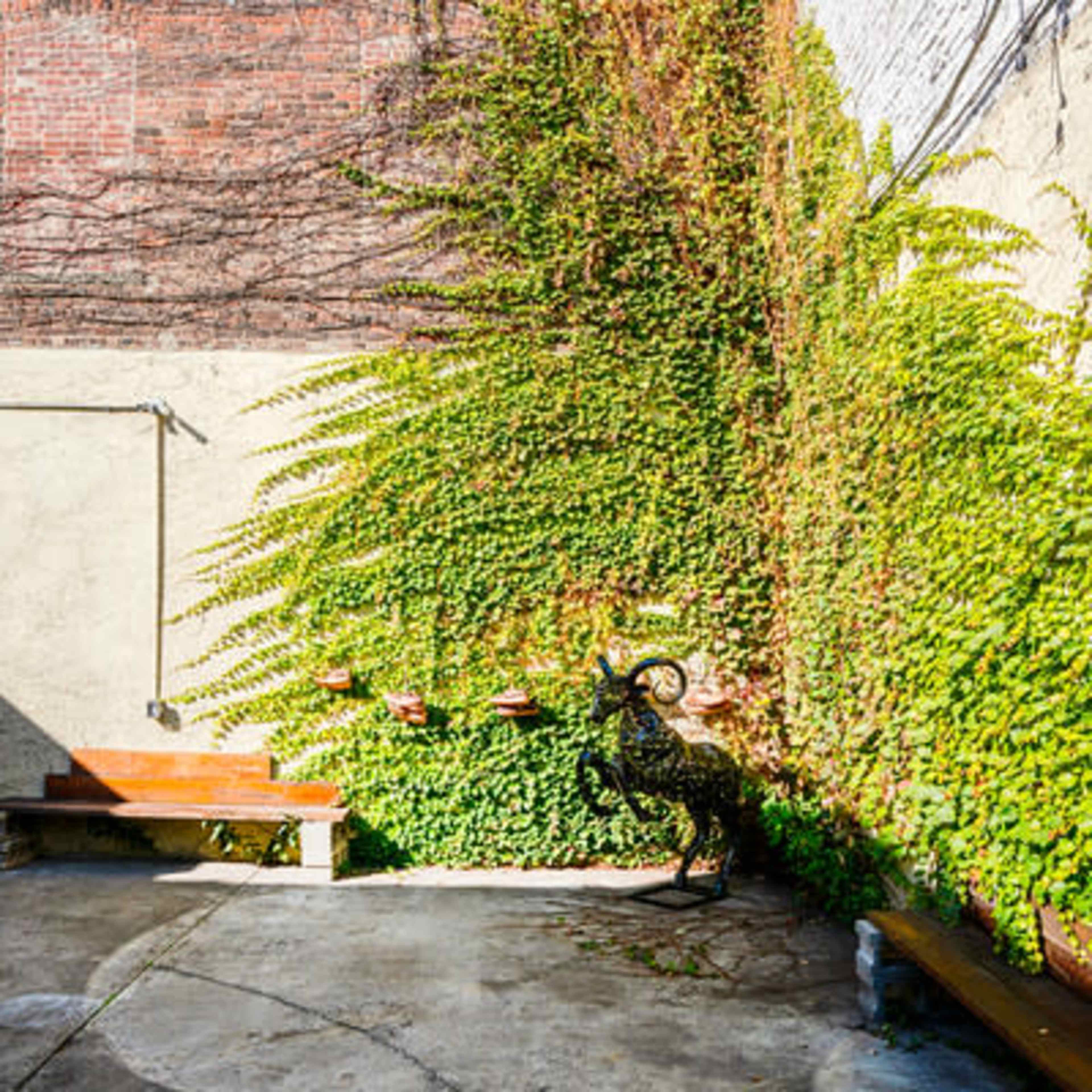 Grand Art Oasis a High-End Eclectic Haven in Williamsburg Image in Williamsburg, Brooklyn, NY