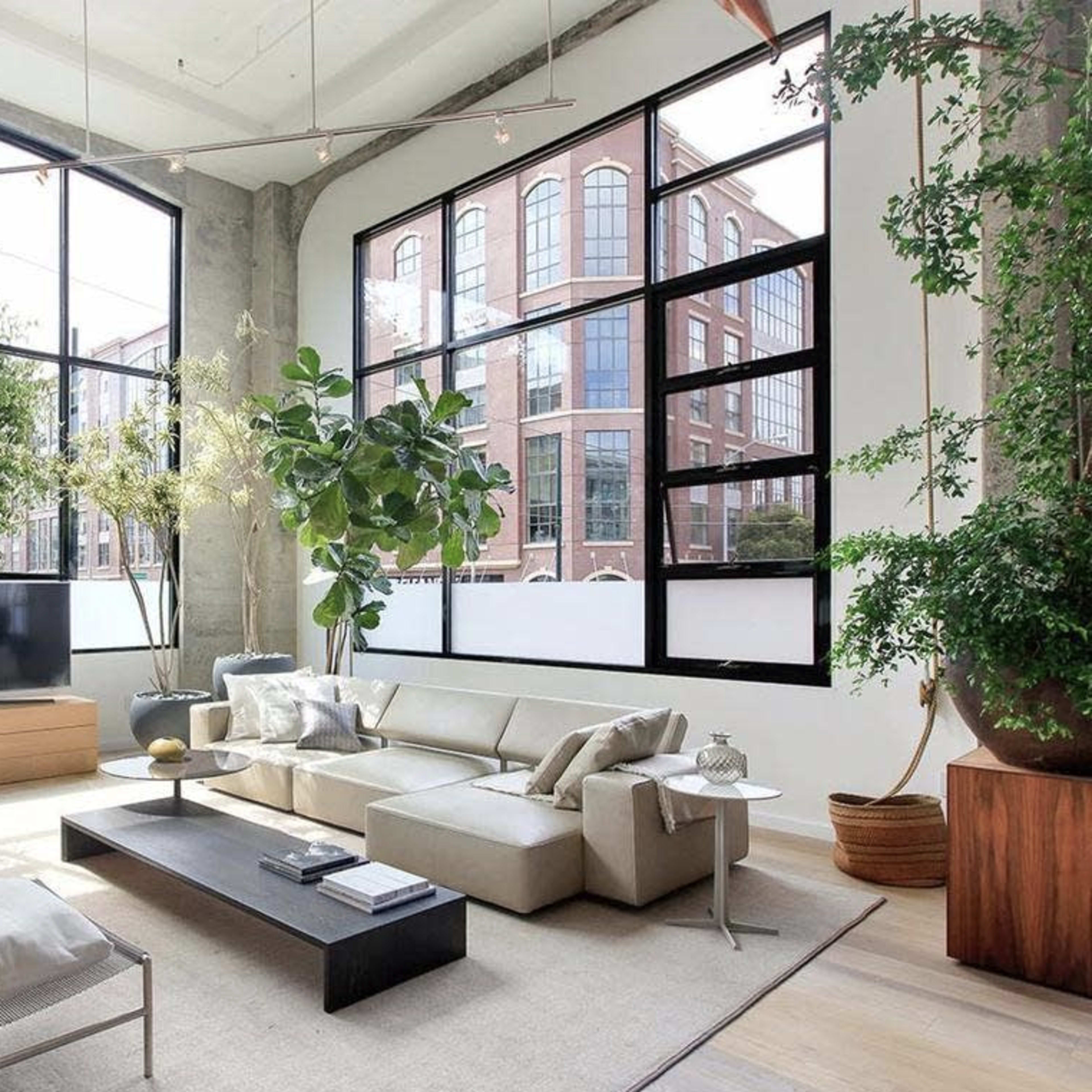 A modern living room with large windows, a sectional sofa, a coffee table, and several indoor plants.