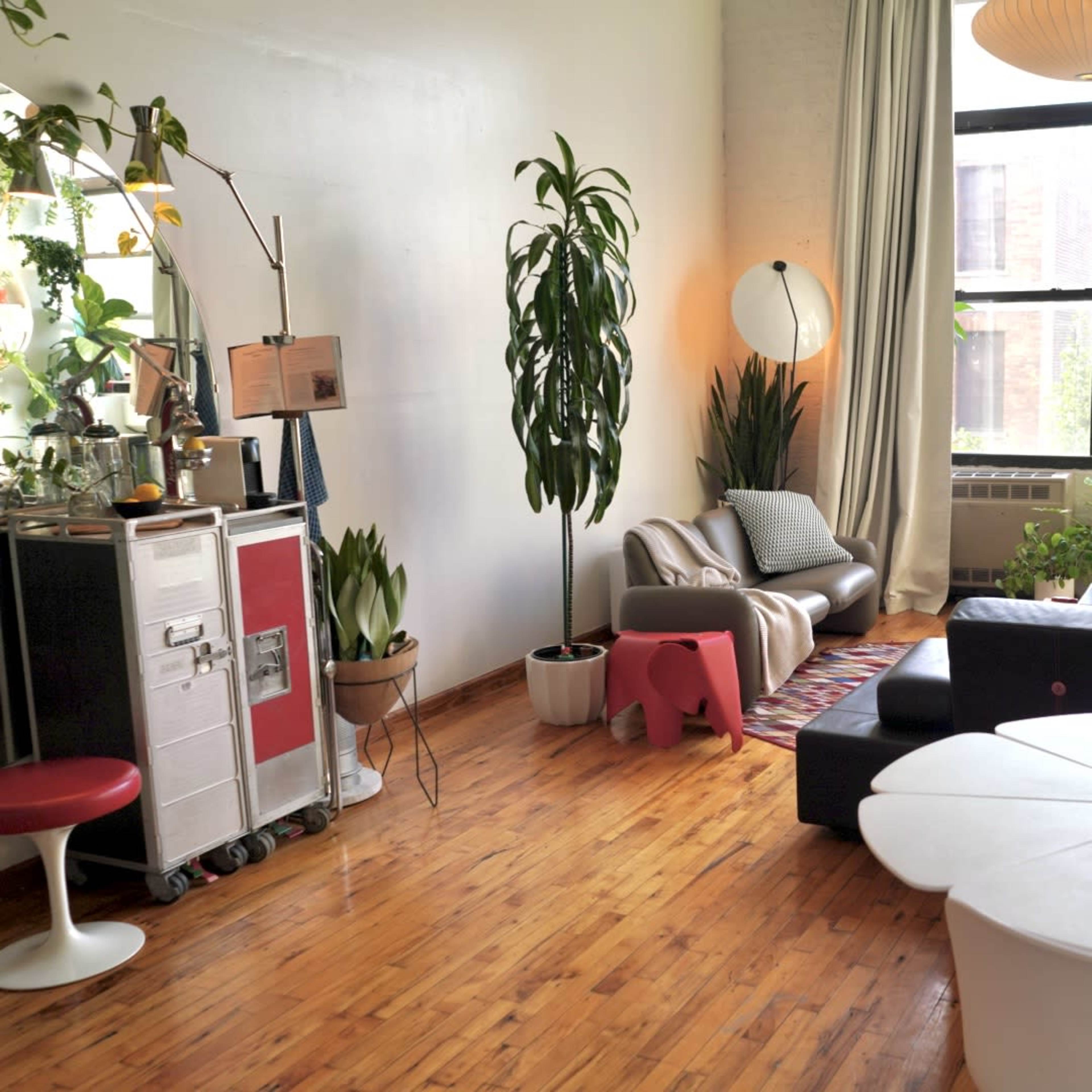 A spacious living room with large windows, featuring a mix of plants, a sofa, and a modern dining table.