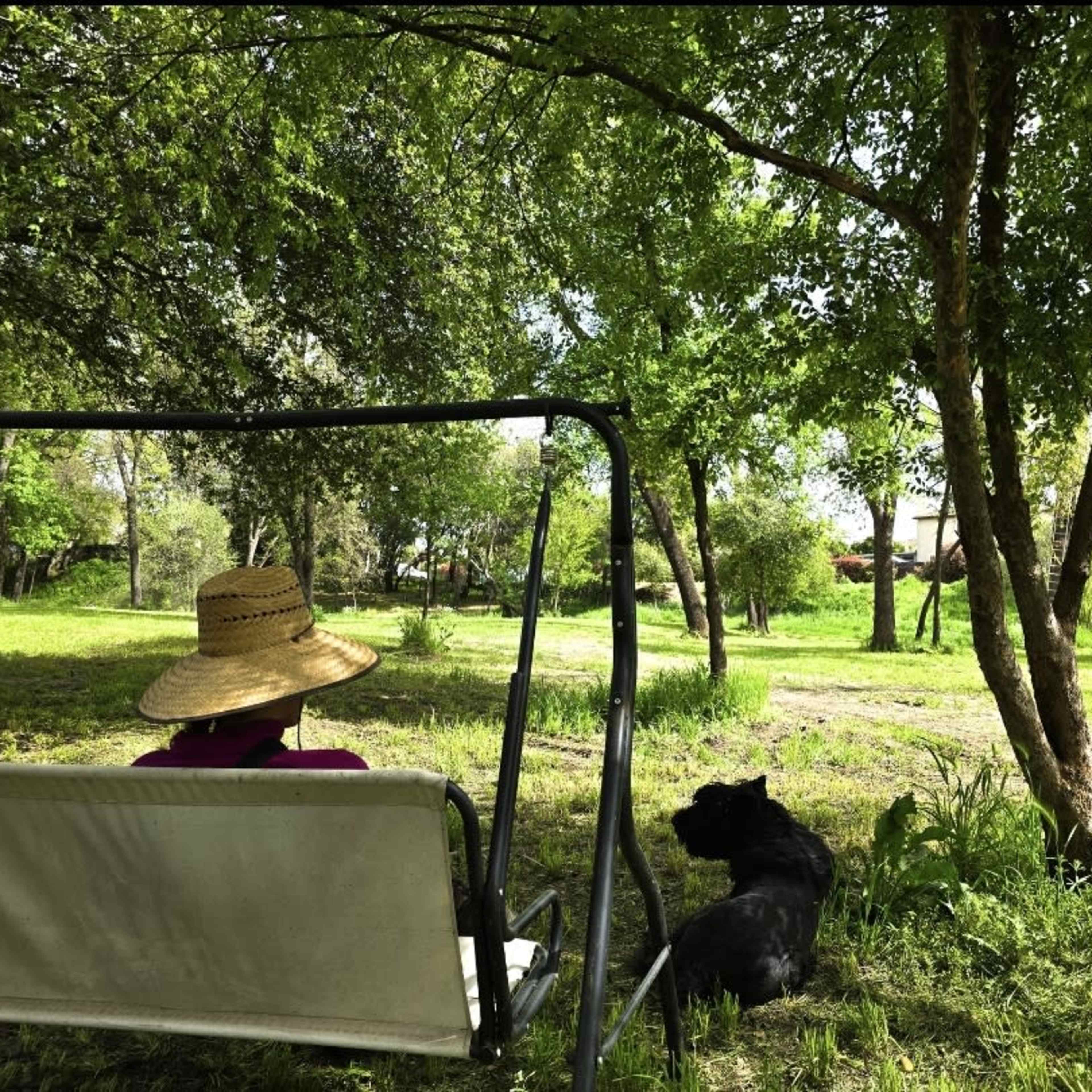 Private Forest in the middle of the city! Image in Citrus Heights, Citrus Heights, CA