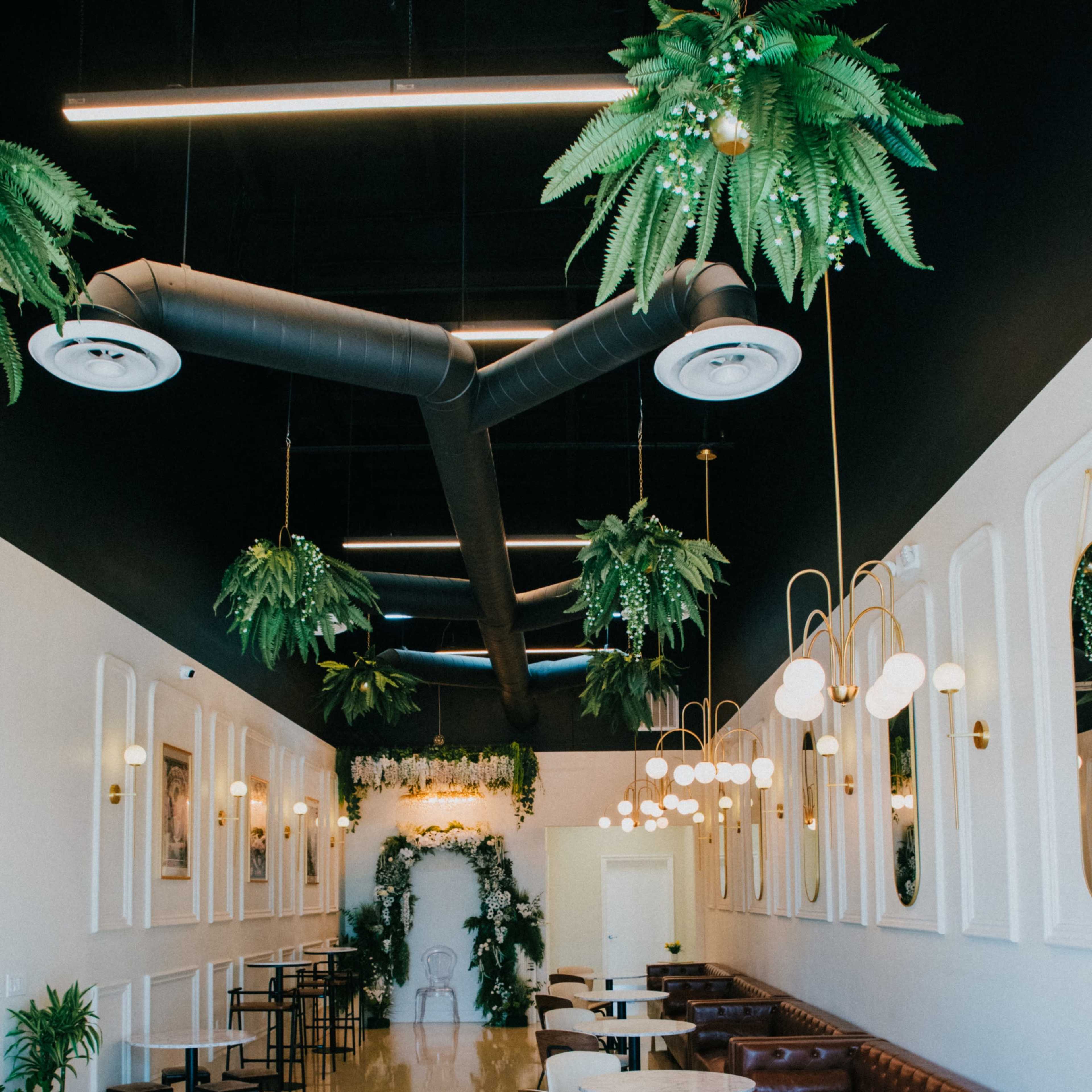 Modern Boba Tea Bar Image in Independence and Jackson, San Jose, CA
