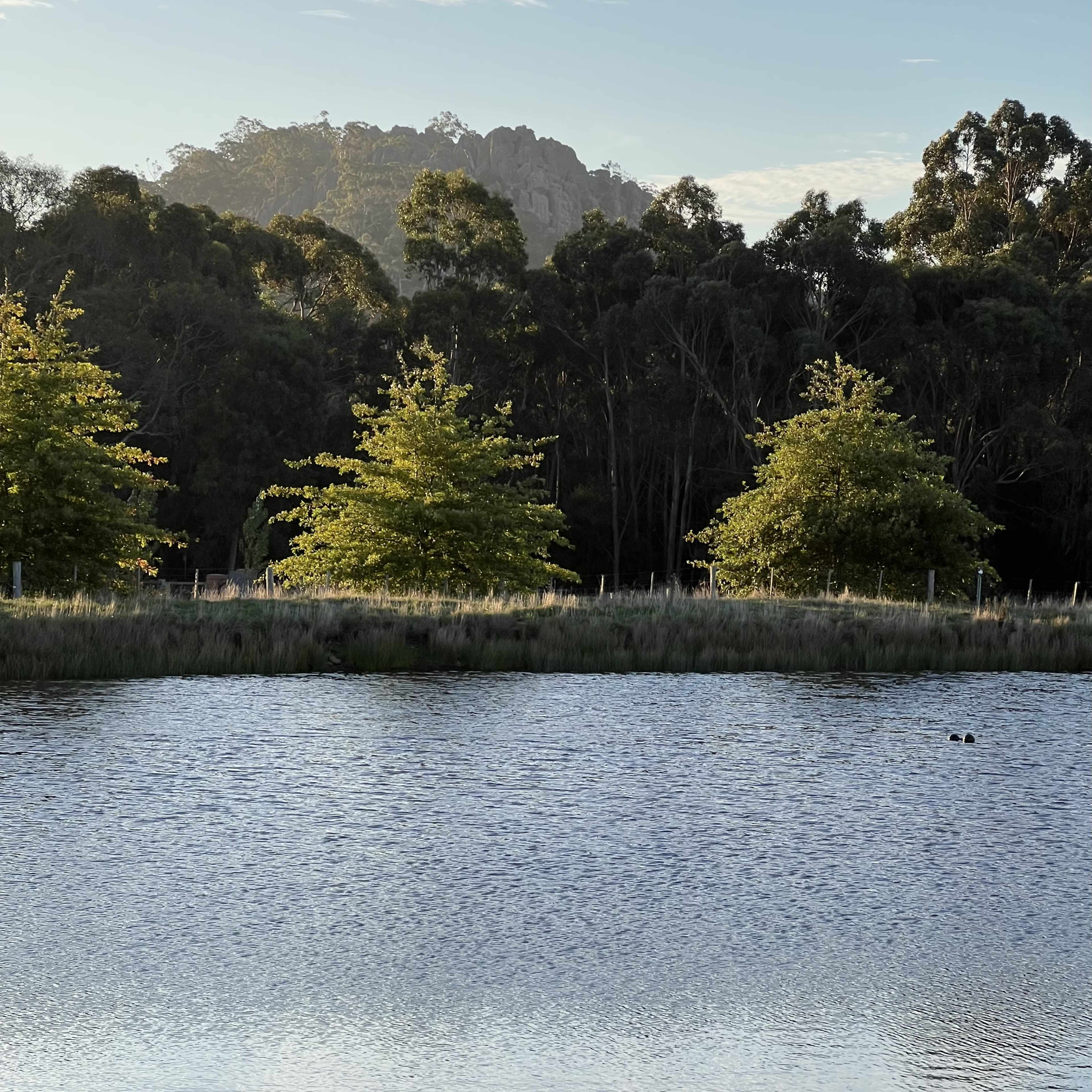 A calm water body reflects trees and a rocky hill under a clear sky.