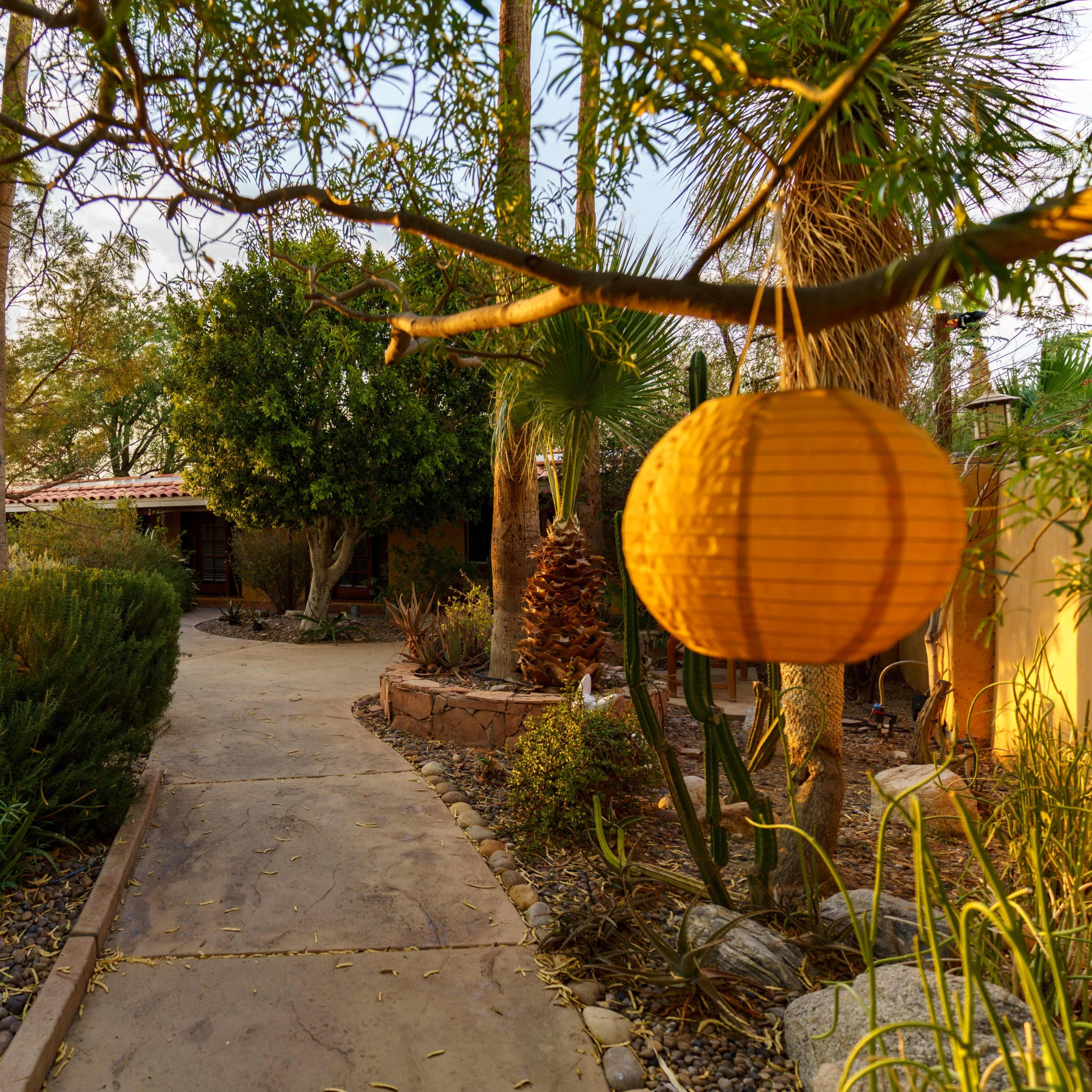 A winding stone path leads through a garden filled with various plants and a hanging lantern.