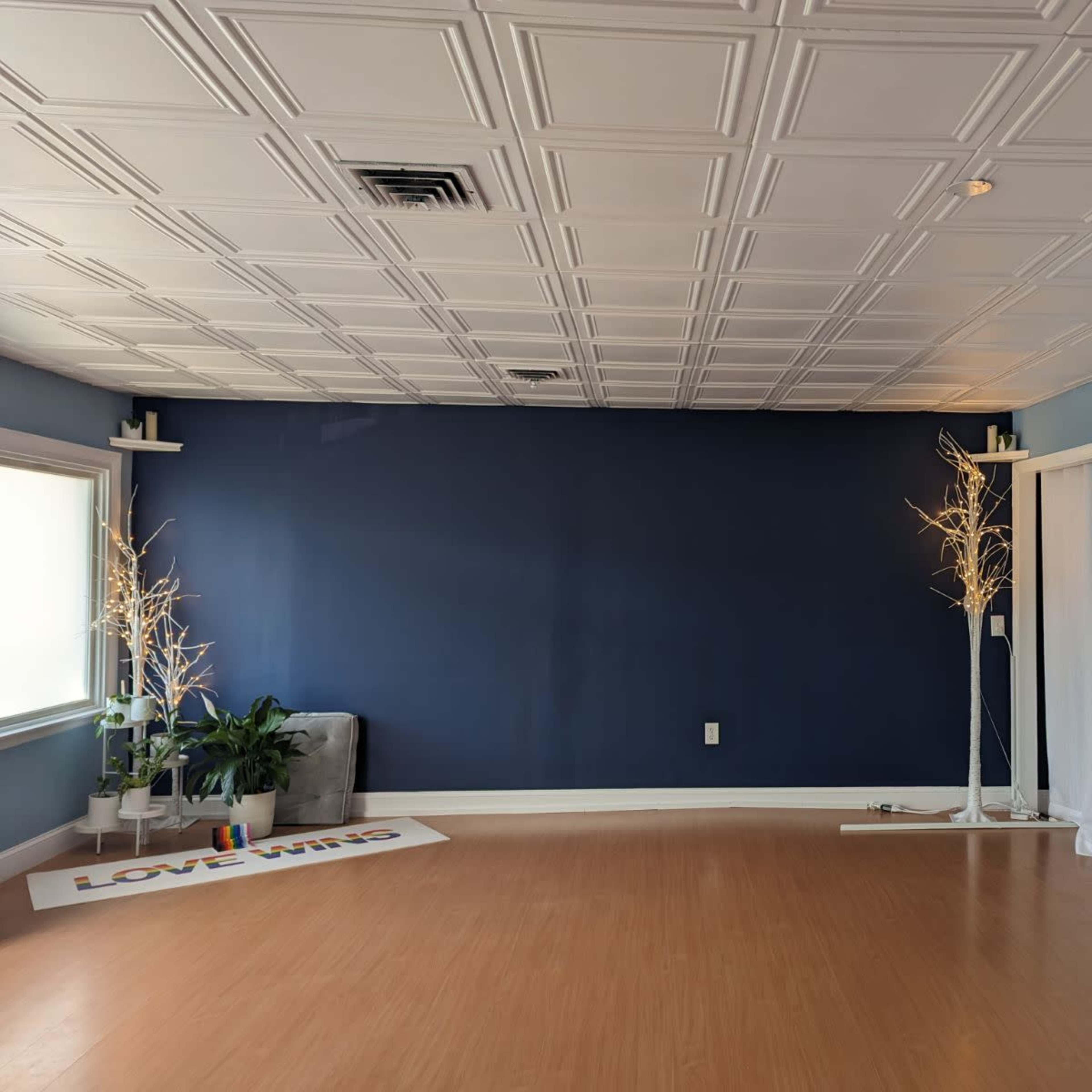 A spacious room with a blue accent wall, wooden flooring, potted plants, and decorative lighting features.