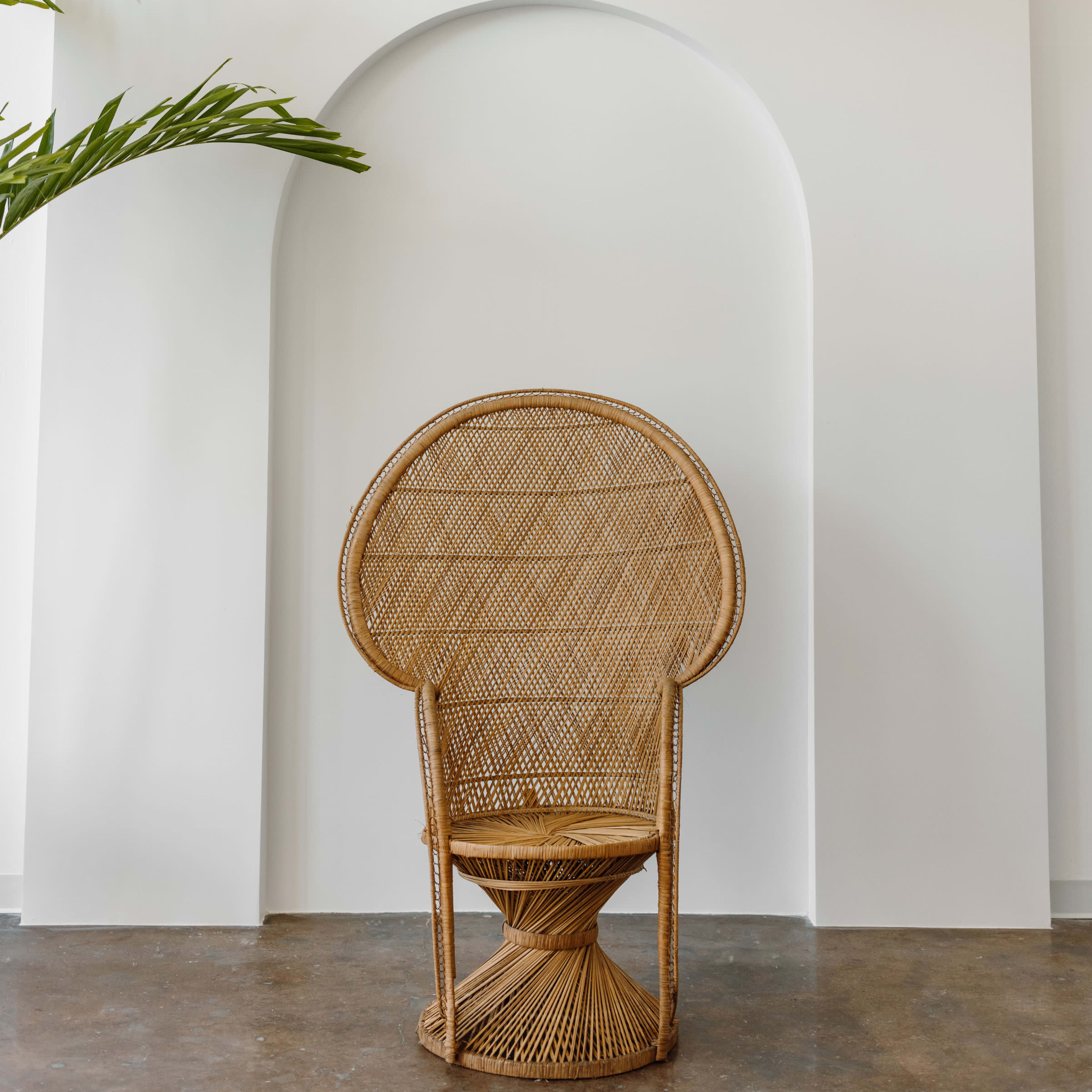 A rattan chair sits in front of a white wall featuring an arched cutout, with a green plant positioned to the left.