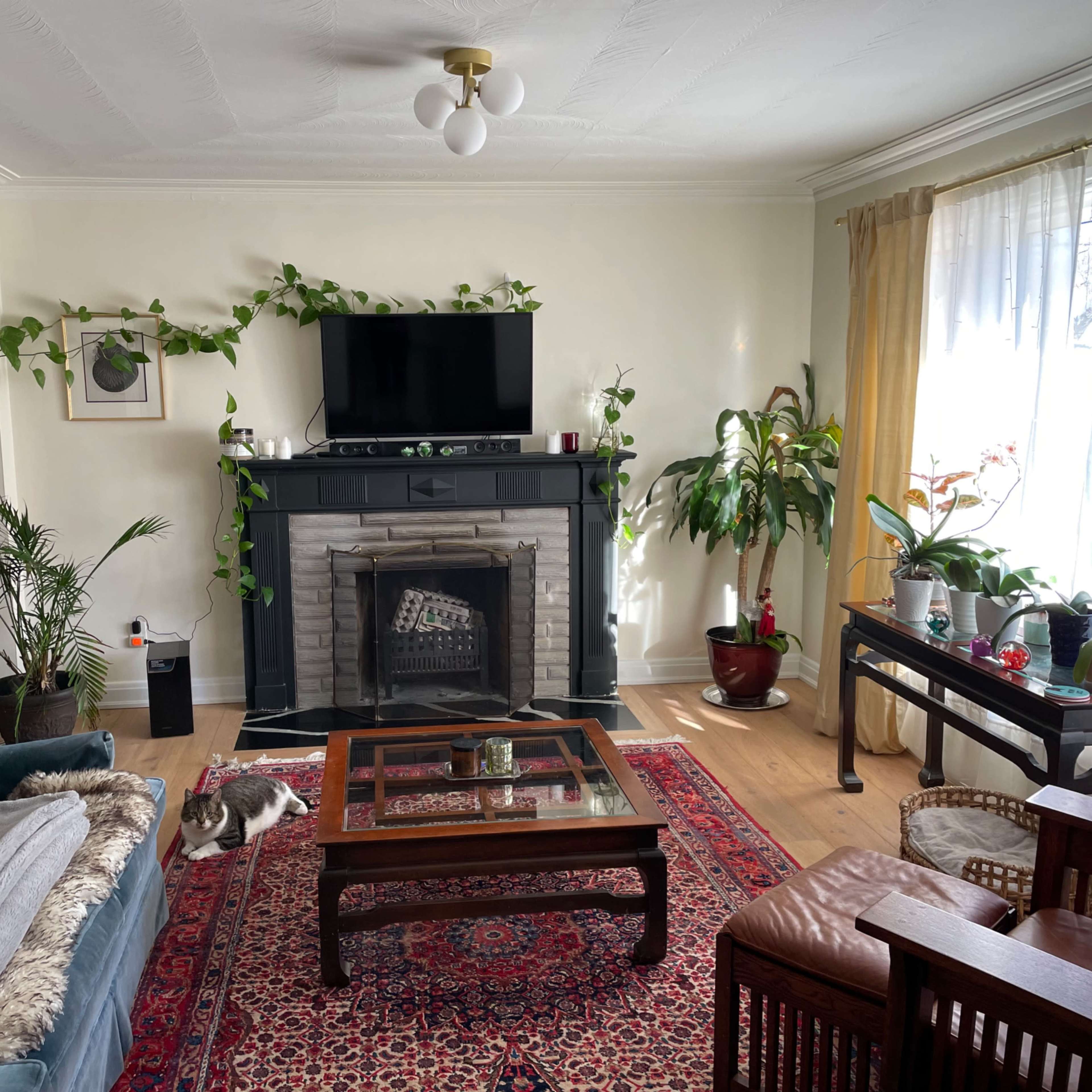 The room features a fireplace with a television above it, surrounded by various plants and a coffee table at the center, with seating areas on either side.