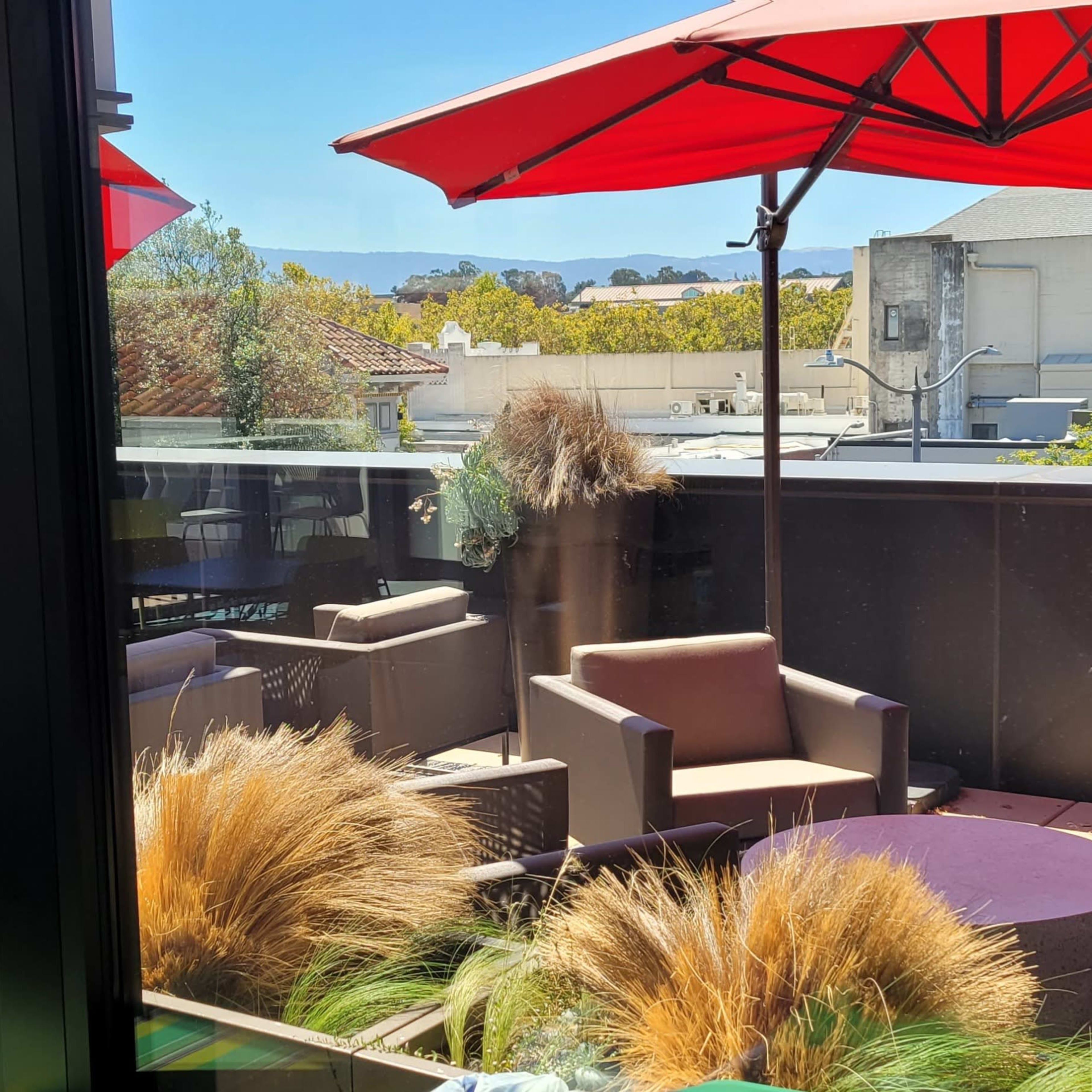A rooftop terrace with red umbrellas, modern seating, and decorative grasses against a clear blue sky.