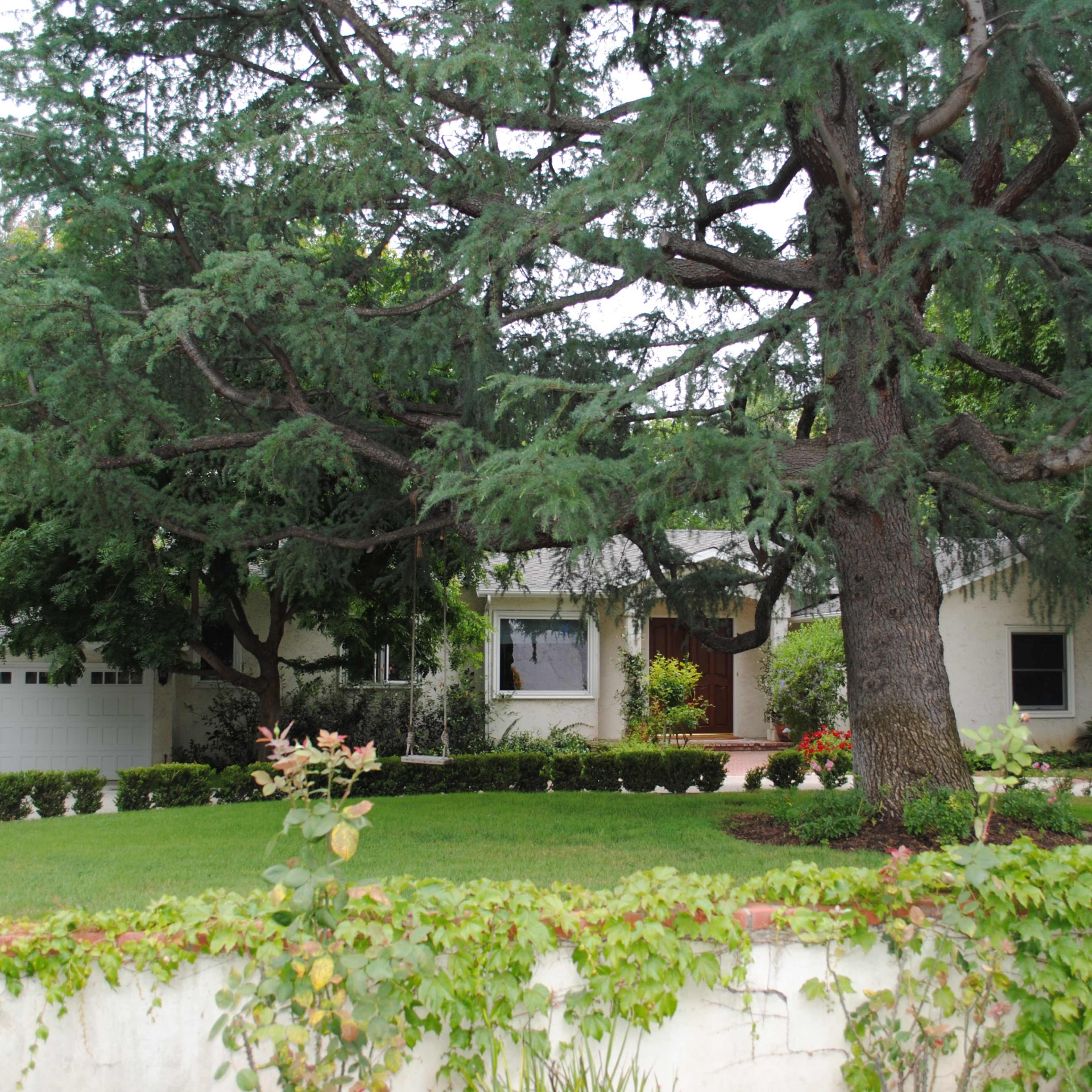 A large tree partially shades a house set back from the street, with a well-manicured lawn and a driveway leading to a garage.