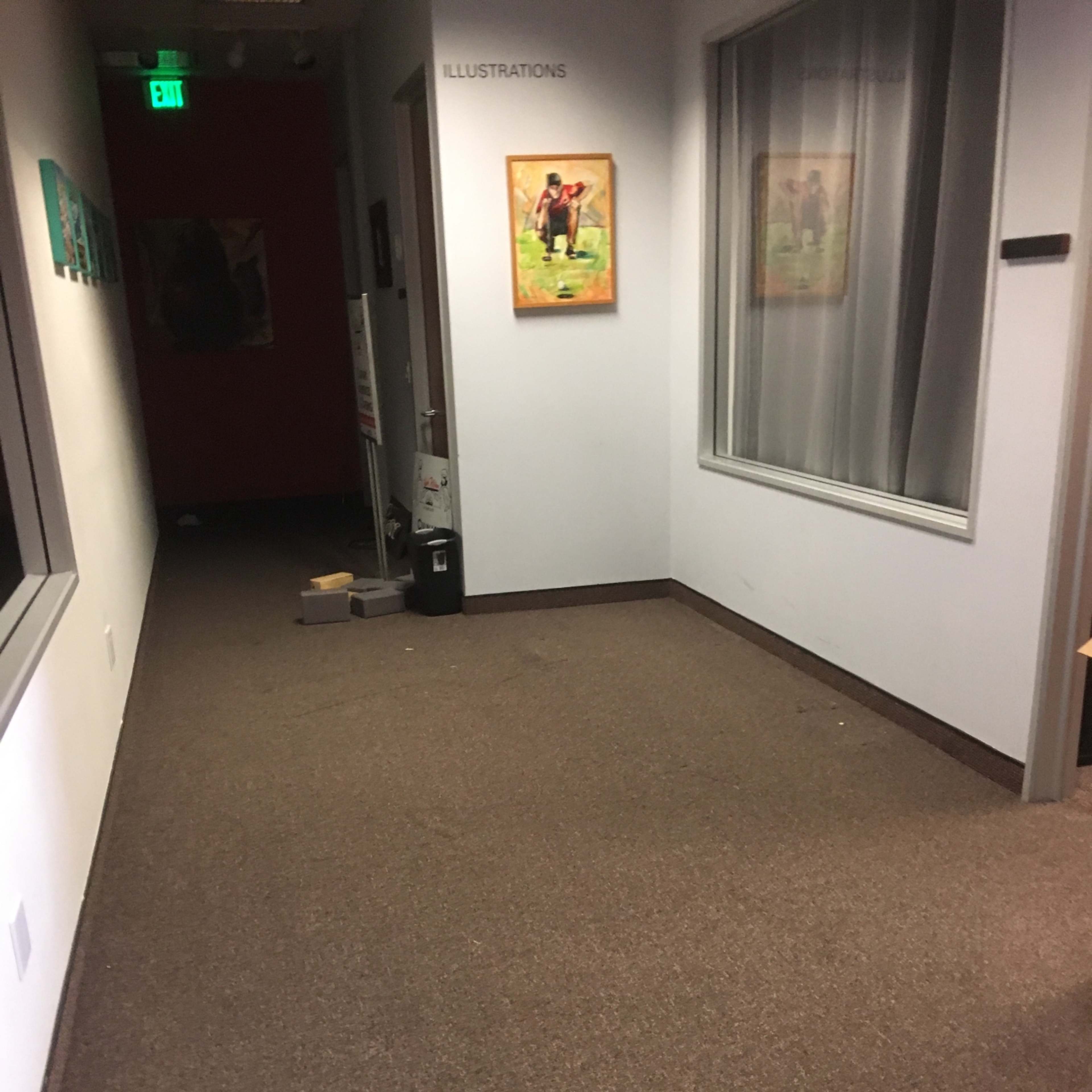 A dimly lit hallway with brown carpet and artwork hanging on the walls.