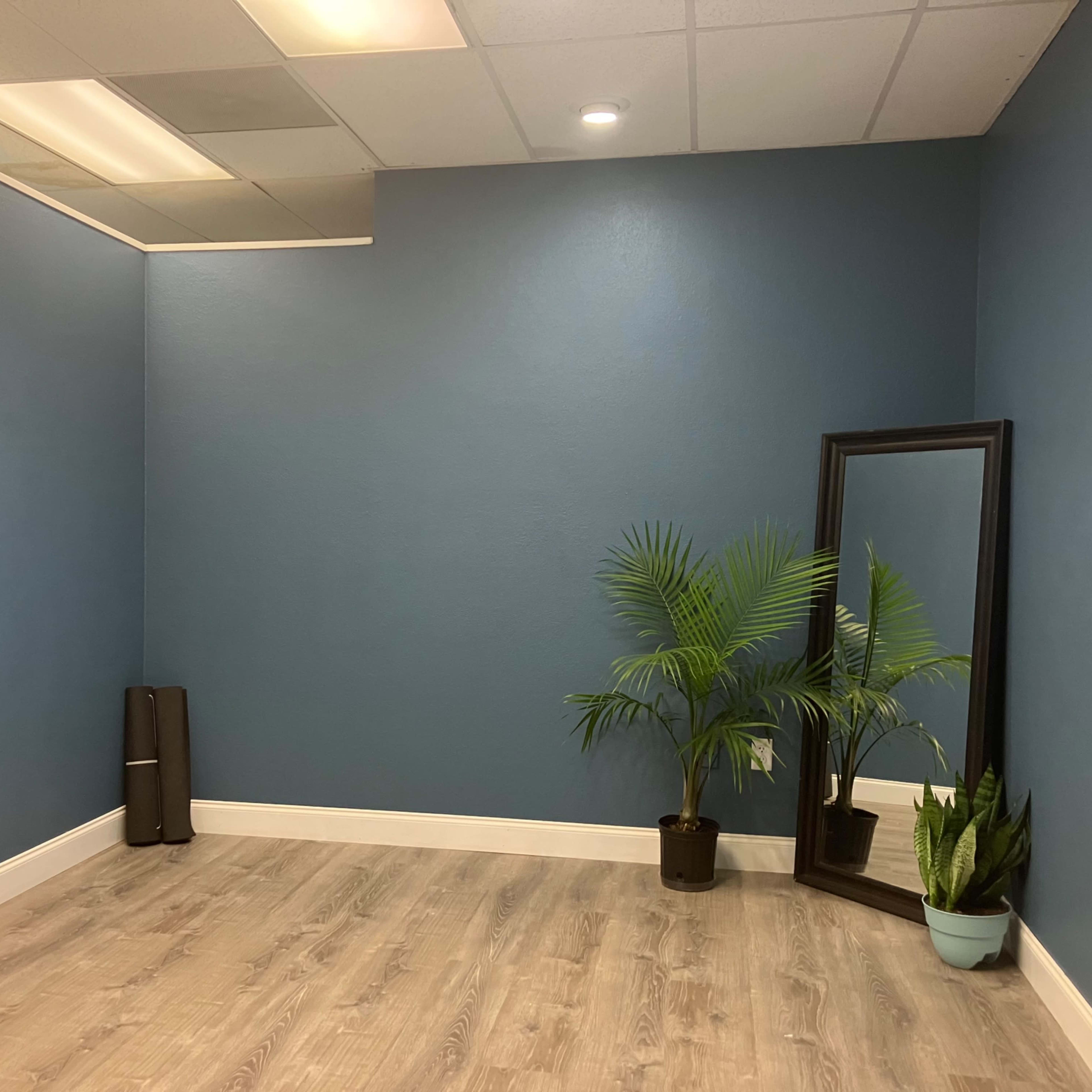 A room with blue walls, a wooden floor, a large mirror, and two plants in pots.