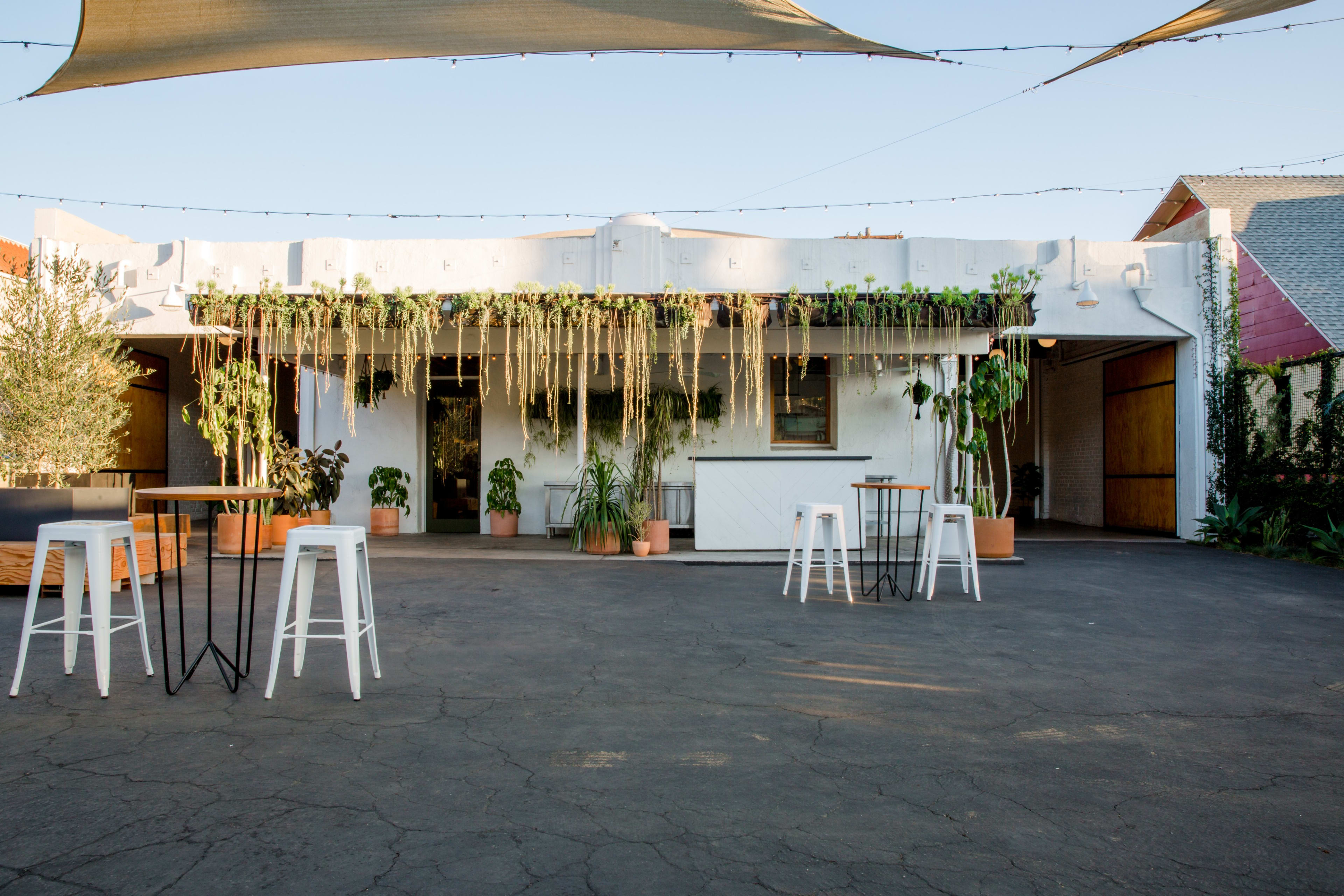 Saams party rentals new arrivals