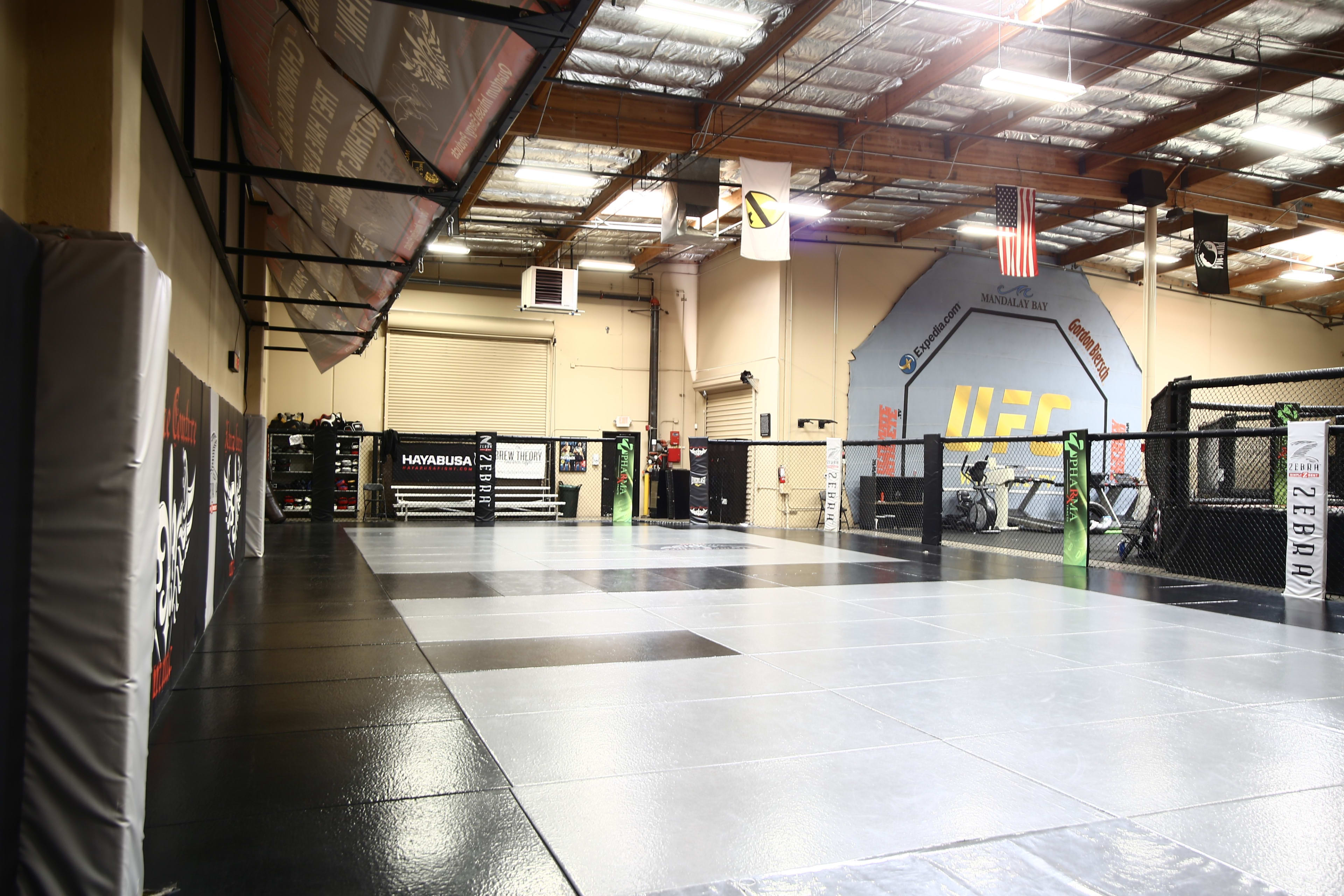 Gyms with wrestling new arrivals mats