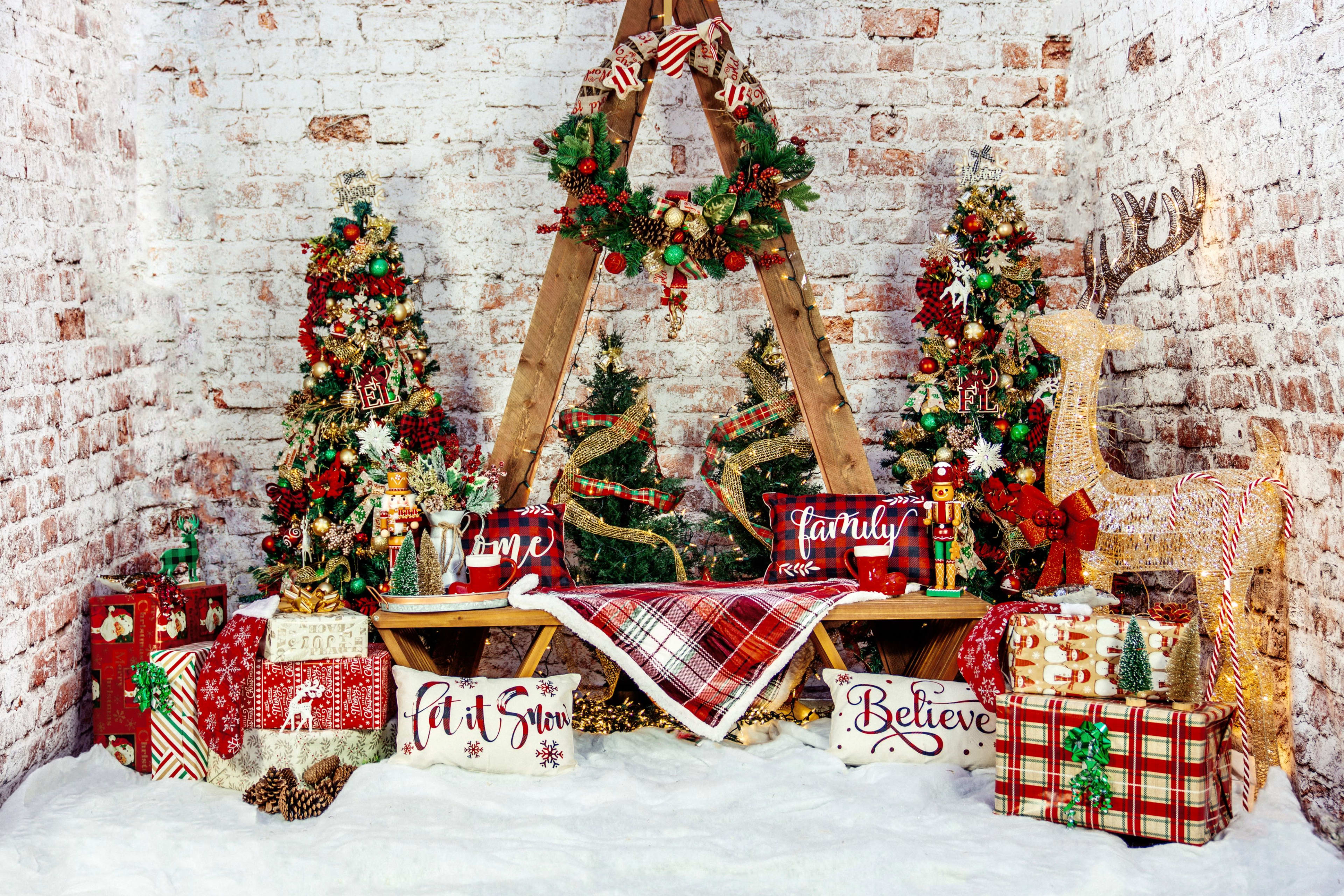 Christmas photoshoot hot sale near me