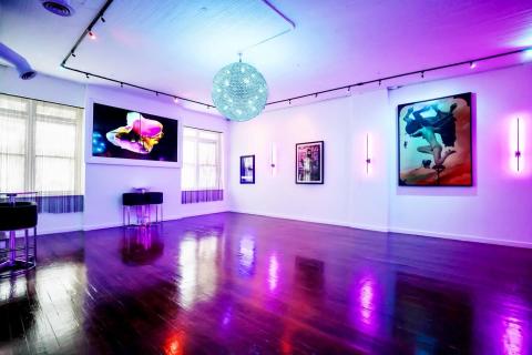 Work Of Art/Exhibits メロハー Esoteric Art Gallery Venue with VIP Lounge, Atlanta, GA