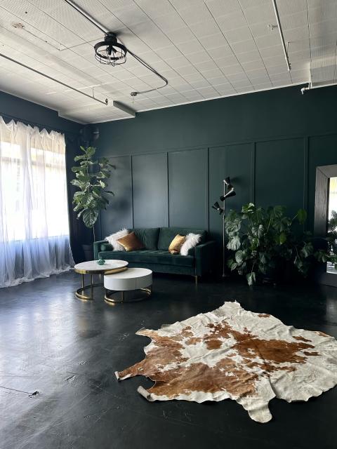 Chantel Allen Boudoir | The Green Room: a color drenched