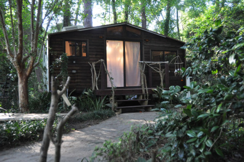 Tiny House Cabin Glamper in Camelia Garden with Rustic Barn Shed ...