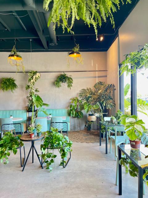 View of Urban Jungle Vibe Venue - Dreamy Plant & Coffee Shop Space located in ...