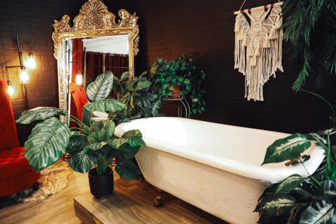 The Daydream Studios | The Midnight Daydream, Hurst, TX