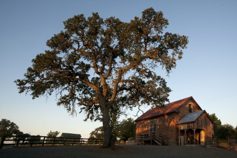 Relaxed Ranch Setting with Expansive Country Views, Ione, CA ...