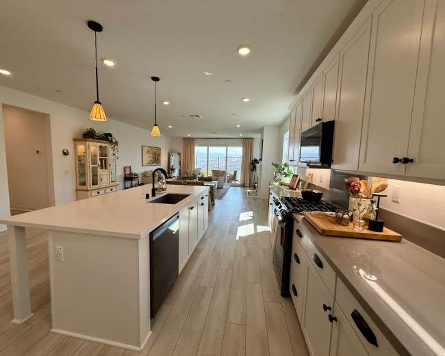 The image shows a modern, open-concept kitchen and living area with a large island, stainless steel appliances, and a view of the outdoor space through large windows.