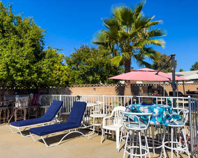 The image shows a sunlit patio area with two lounge chairs, a table with a tropical print tablecloth, and a canopy umbrella, surrounded by greenery and palm trees.