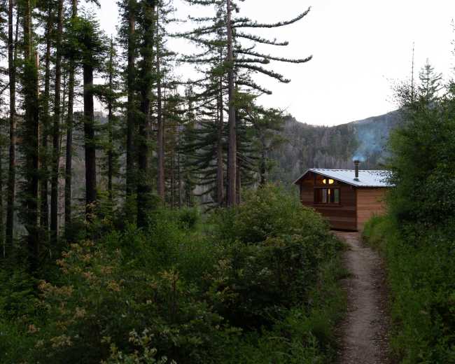 A wooden cabin sits at the edge of a forested path, surrounded by tall trees and shrubs.