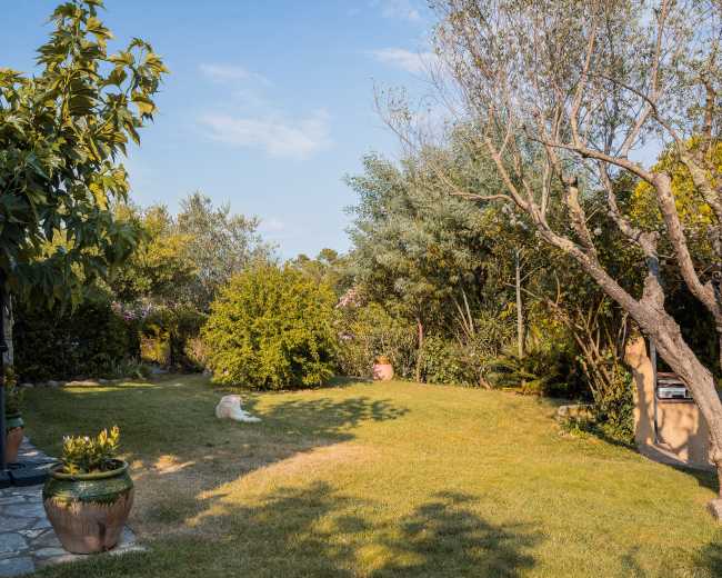 The image depicts a landscaped garden with a hanging chair, greenery, and a peaceful lawn under a clear sky.