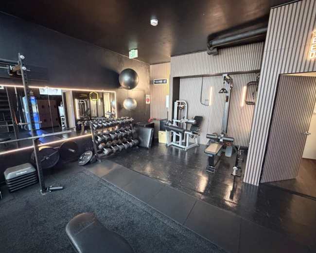 The image shows a modern gym interior featuring various workout equipment, weights, and exercise balls arranged neatly in a dimly lit space with black walls.