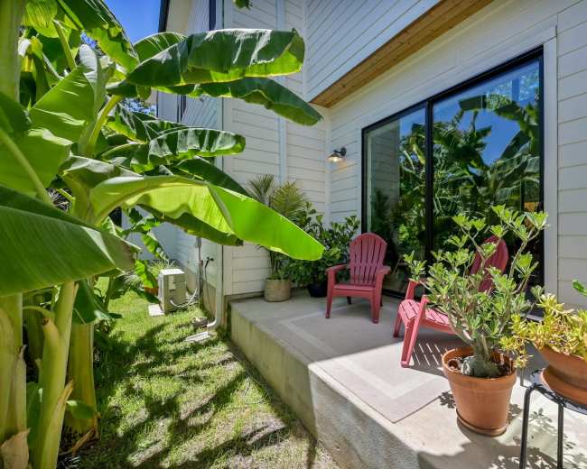 A patio area with two red chairs, surrounded by banana plants and potted greenery, features large glass doors leading into a house.