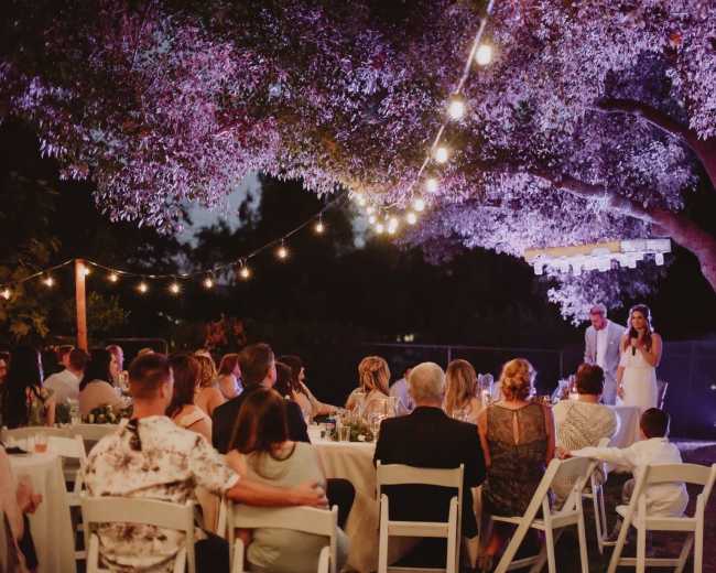 A couple stands at a microphone under a canopy of string lights, addressing guests seated at tables in a garden setting at night.