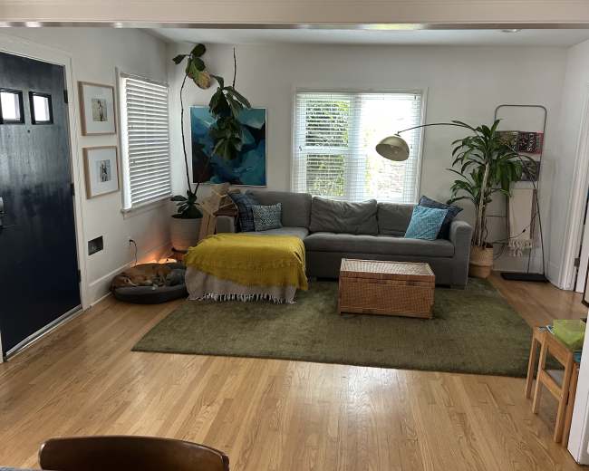 The image depicts a living room with a gray sofa, a coffee table, a rug, and potted plants, creating a cozy and inviting atmosphere.