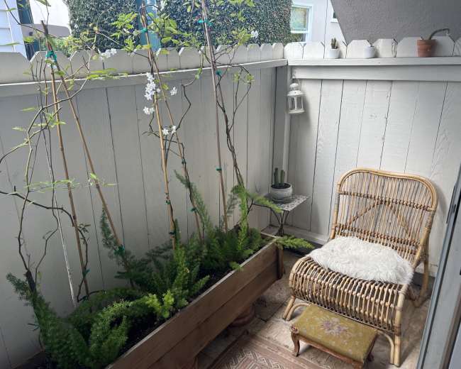 A small outdoor space features a planter with climbing plants and ferns beside a wicker chair and a round table against a white wooden fence.