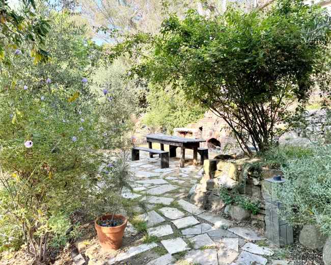 The image features a stone pathway leading to a wooden table surrounded by lush greenery and potted plants in a garden setting.