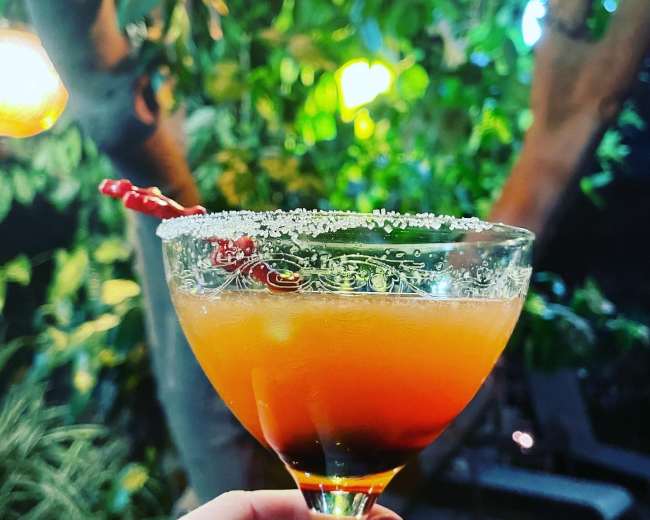 A hand holds a cocktail glass with a gradient of orange and red liquid, garnished with a chili and salt on the rim, set against a backdrop of green foliage and colorful hanging lights.